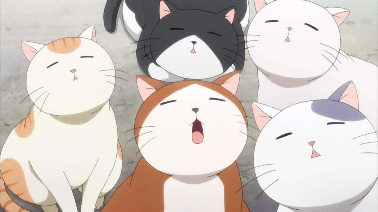 Một chú mèo anime tò mò khám phá thế giới Hình nền