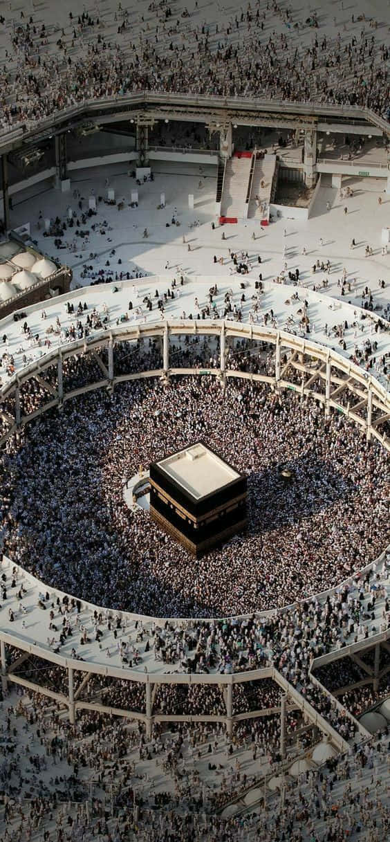 đám đông lớn tụ tập quanh kaaba Hình nền