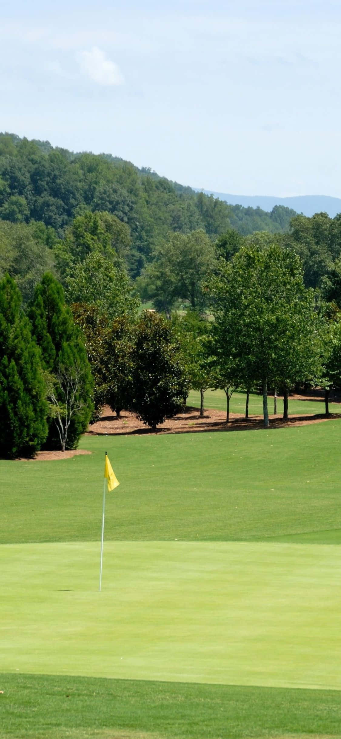 Một golfer đang phát bóng với phông nền bình dị của những đồi vàng óng trên sân golf. Hình nền