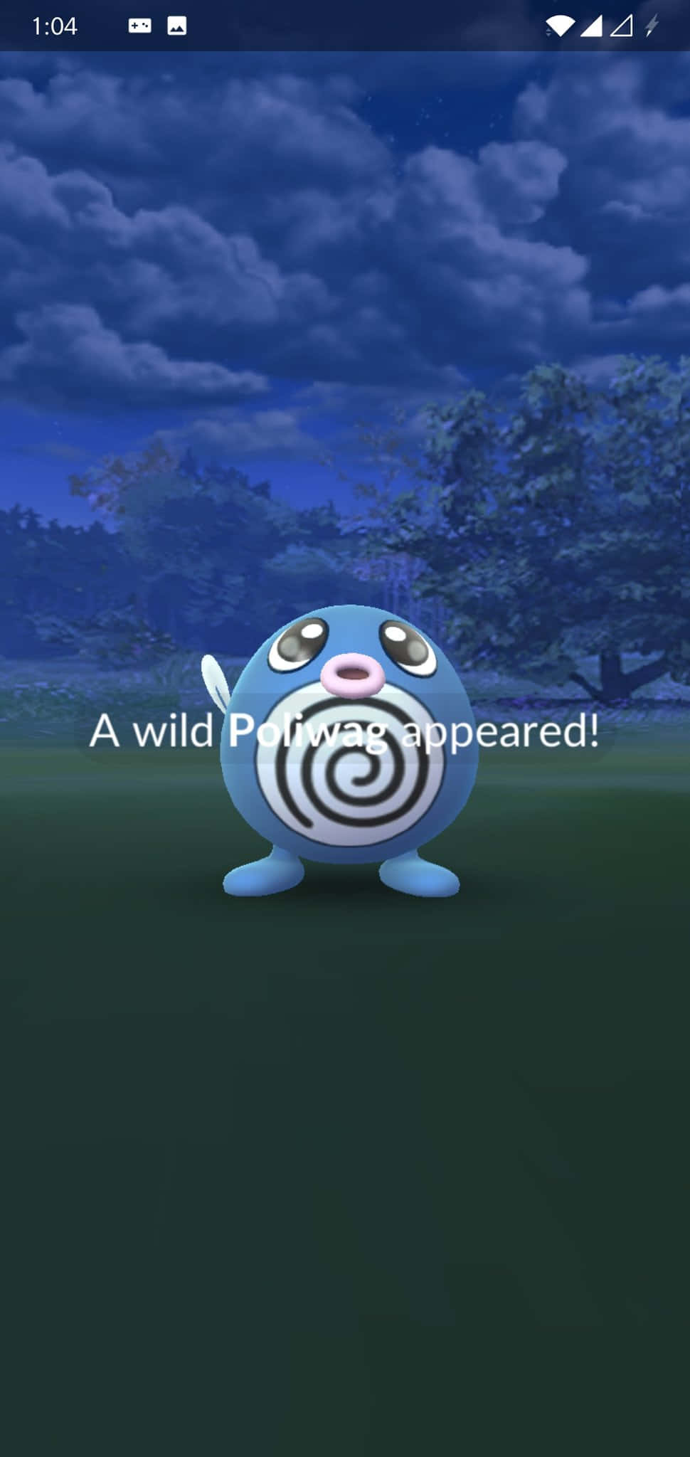 Một Poliwag hoang dã xuất hiện Hình nền
