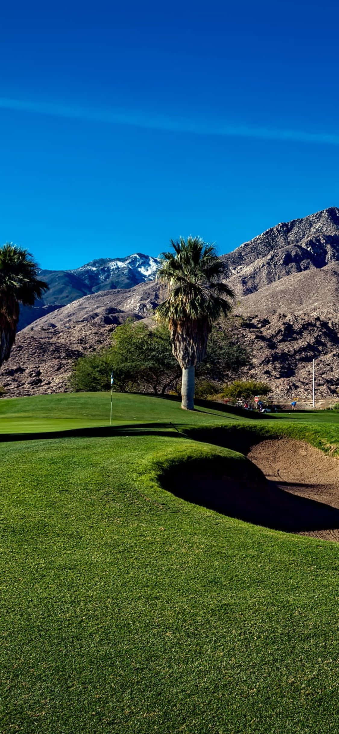 Một sân golf xanh tươi trải dài trước một chiếc iPhone X. Hình nền