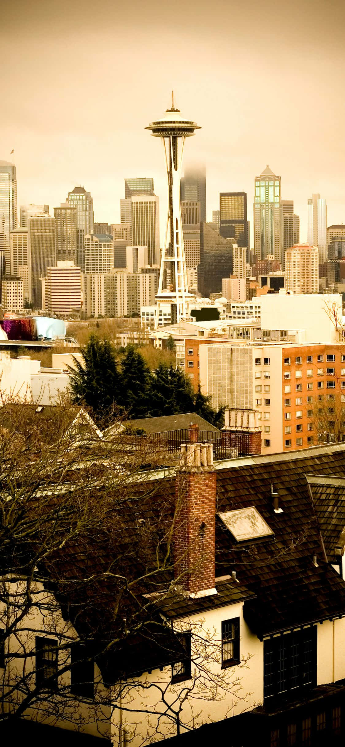 một thành phố với tháp Space Needle Hình nền