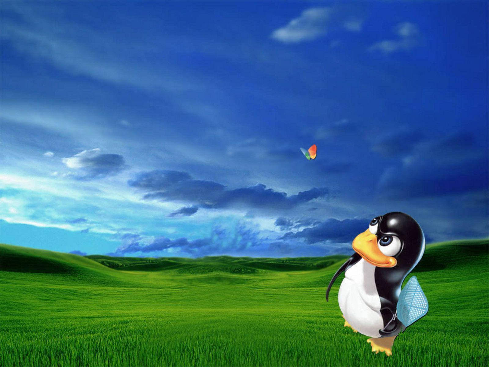 MSN Butterfly với Tux Hình nền