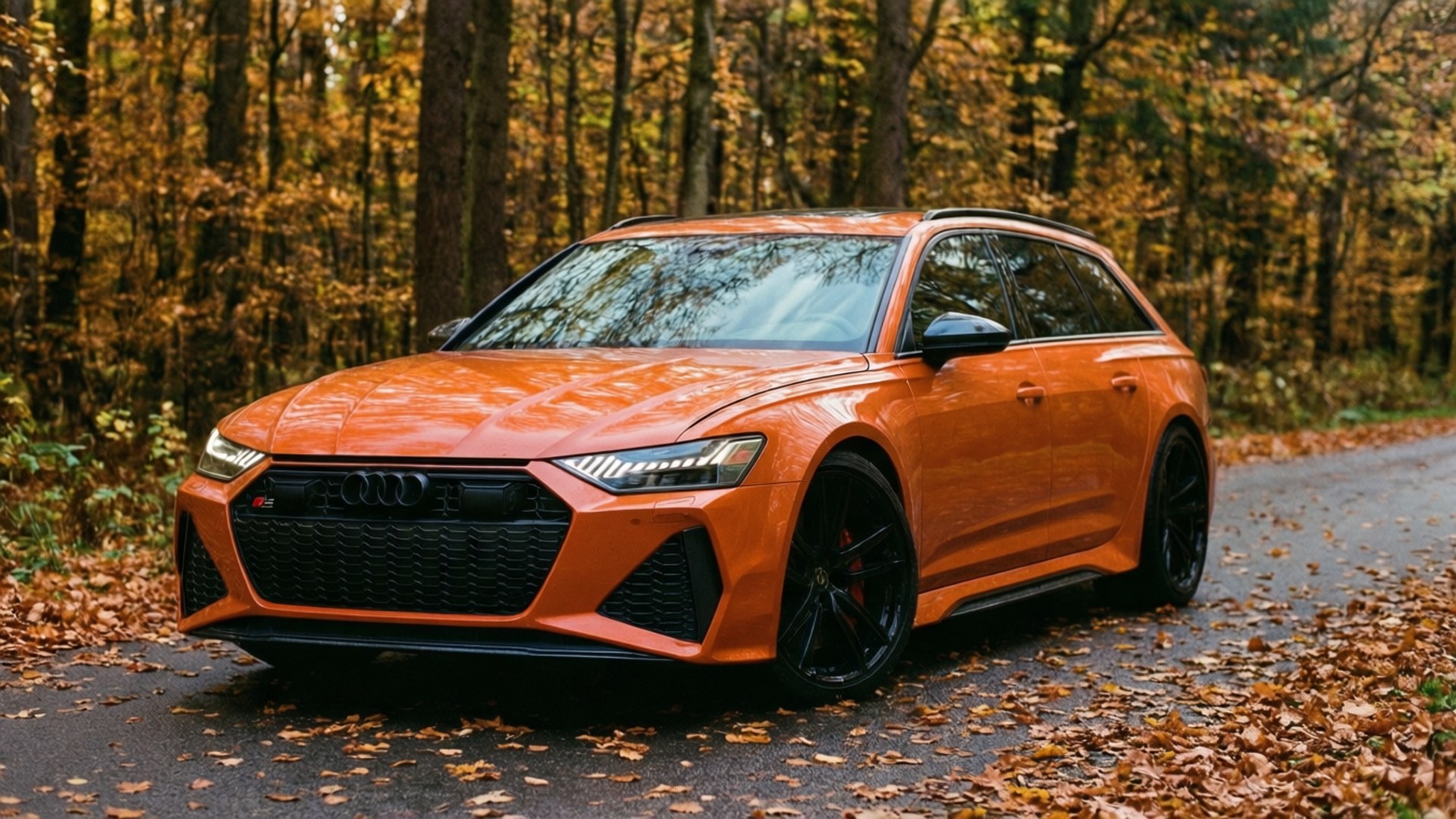 Một chiếc Audi RS6 Avant màu cam trên con đường rừng mùa thu với lá rơi.