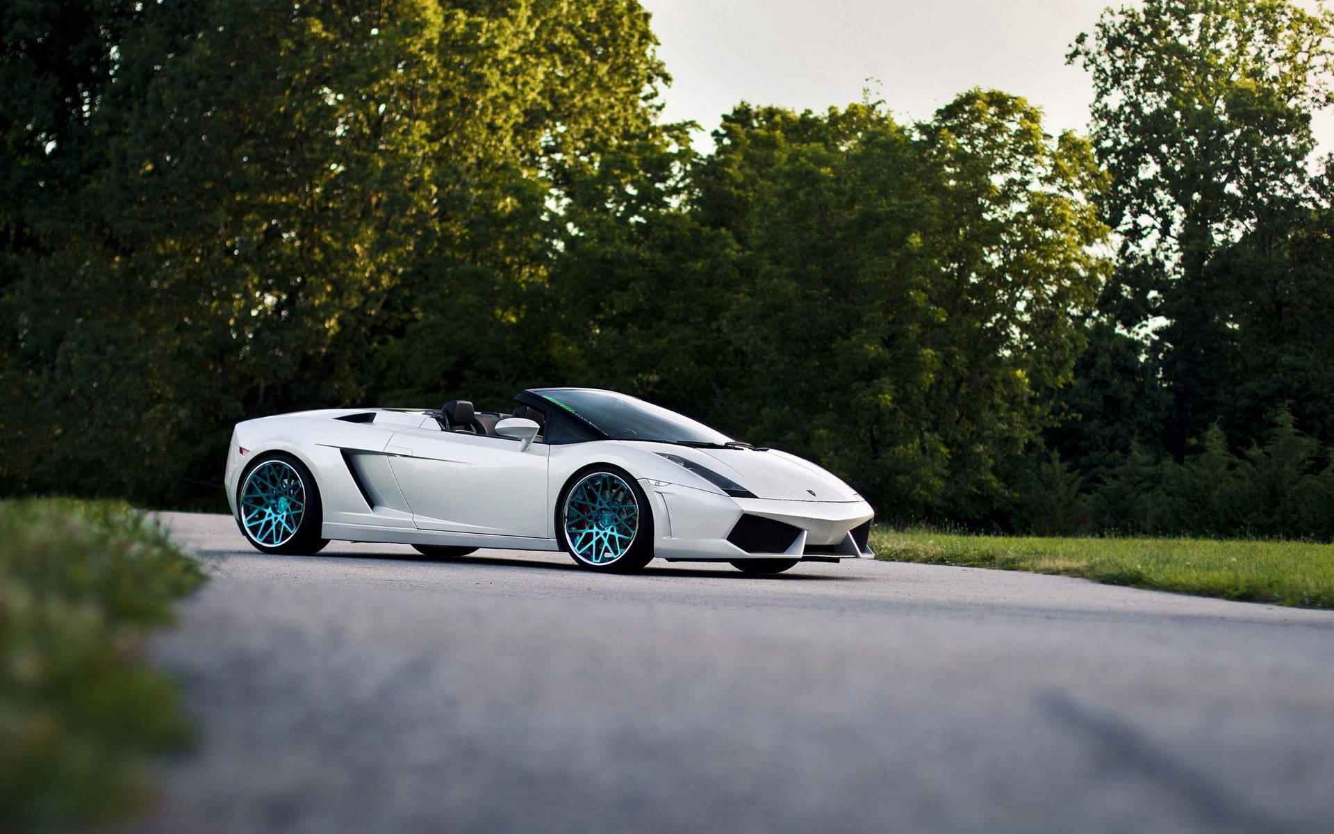 Hình nền Lamborghini Gallardo Spyder mui trần màu trắng.