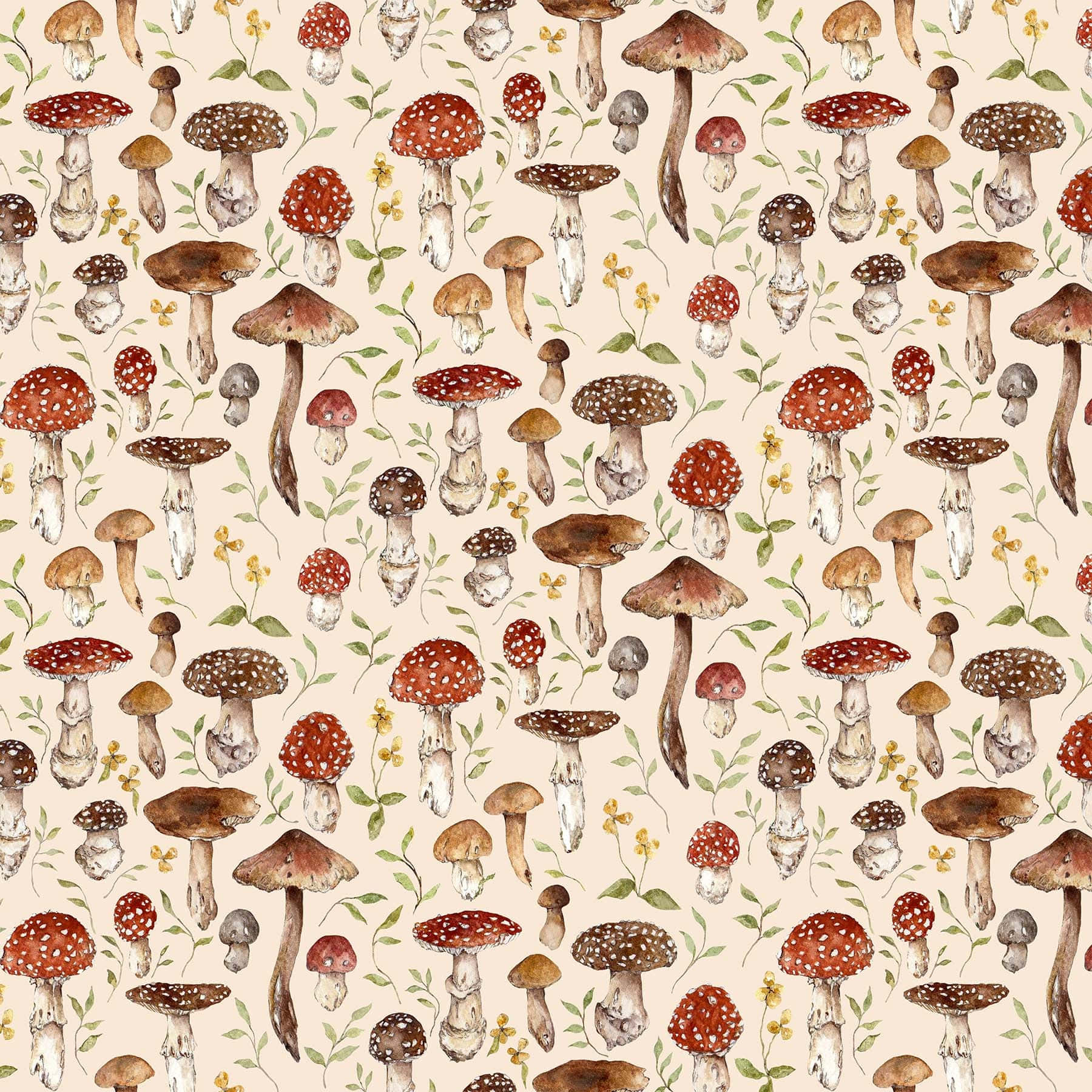 Nấm Cổ Điển Dễ Thương Beige Hình nền