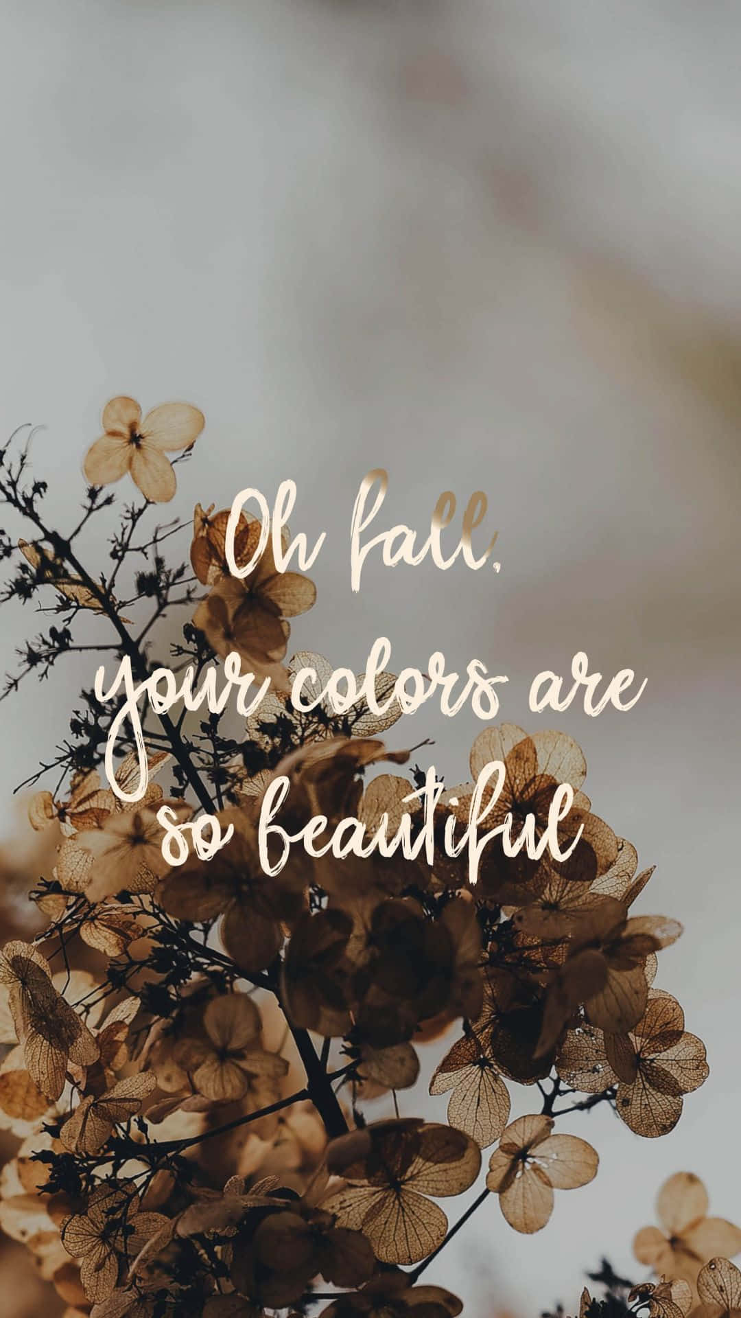 "Nâu là màu đen mới. Thêm hơi ấm và sáng bóng cho ngôi nhà của bạn với Aesthetic Brown!" Hình nền