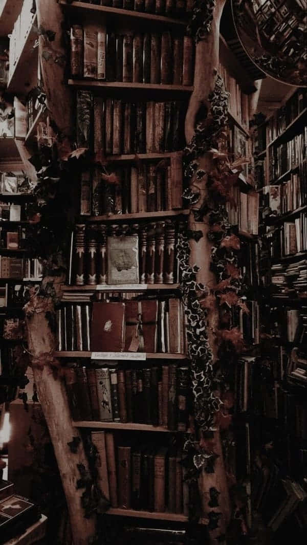 Nền Dark Academia