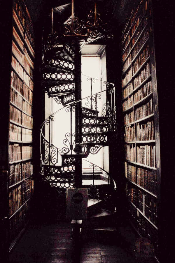 Nền Dark Academia