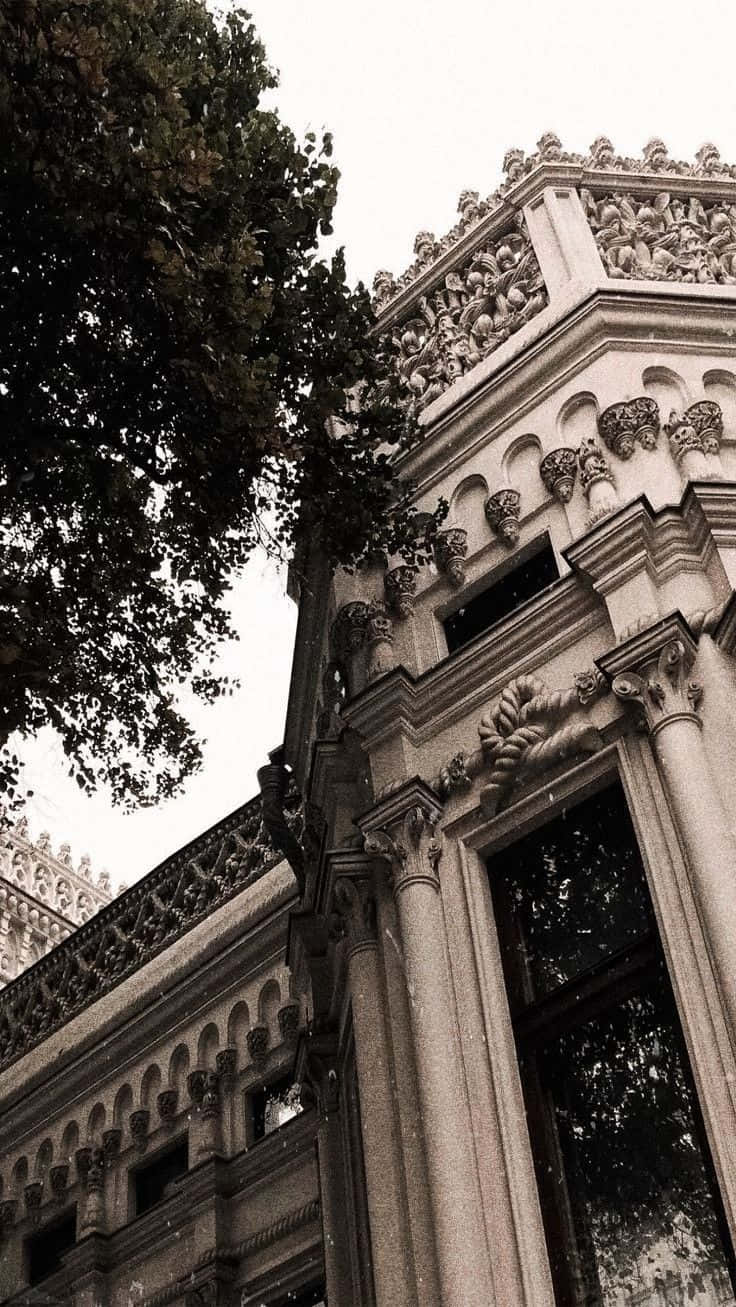 Nền Dark Academia Hình nền