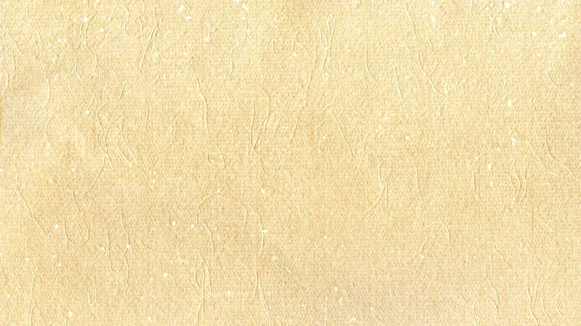 Nền Giấy Màu Be Hình nền