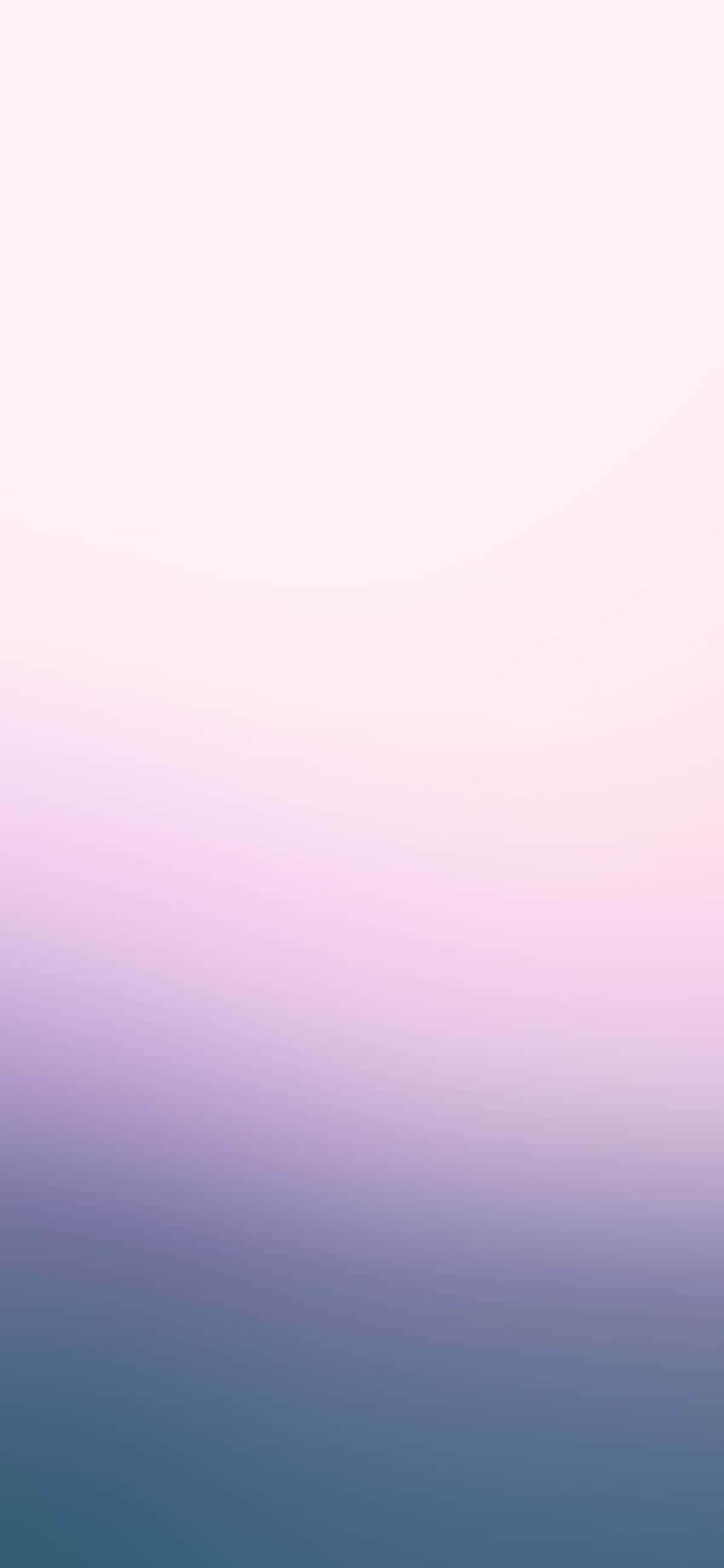 nền gradient hồng và tím Hình nền
