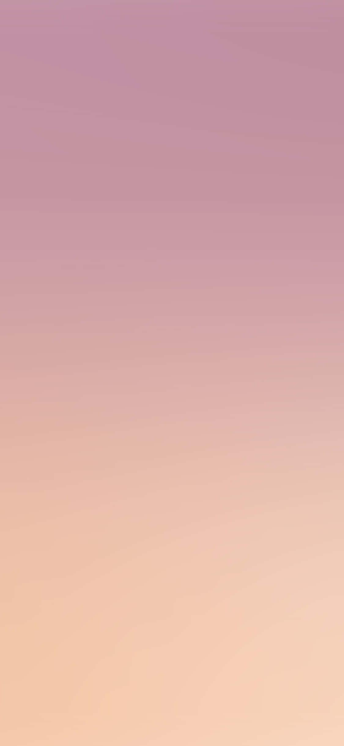 Nền Gradient Ombre Hồng Hình nền