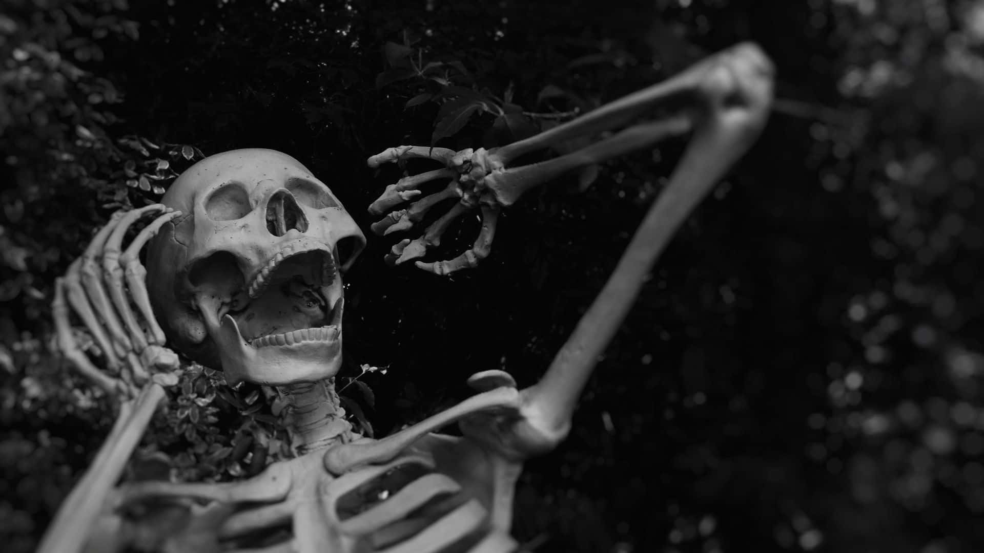 Nền Halloween đáng sợ Hình nền