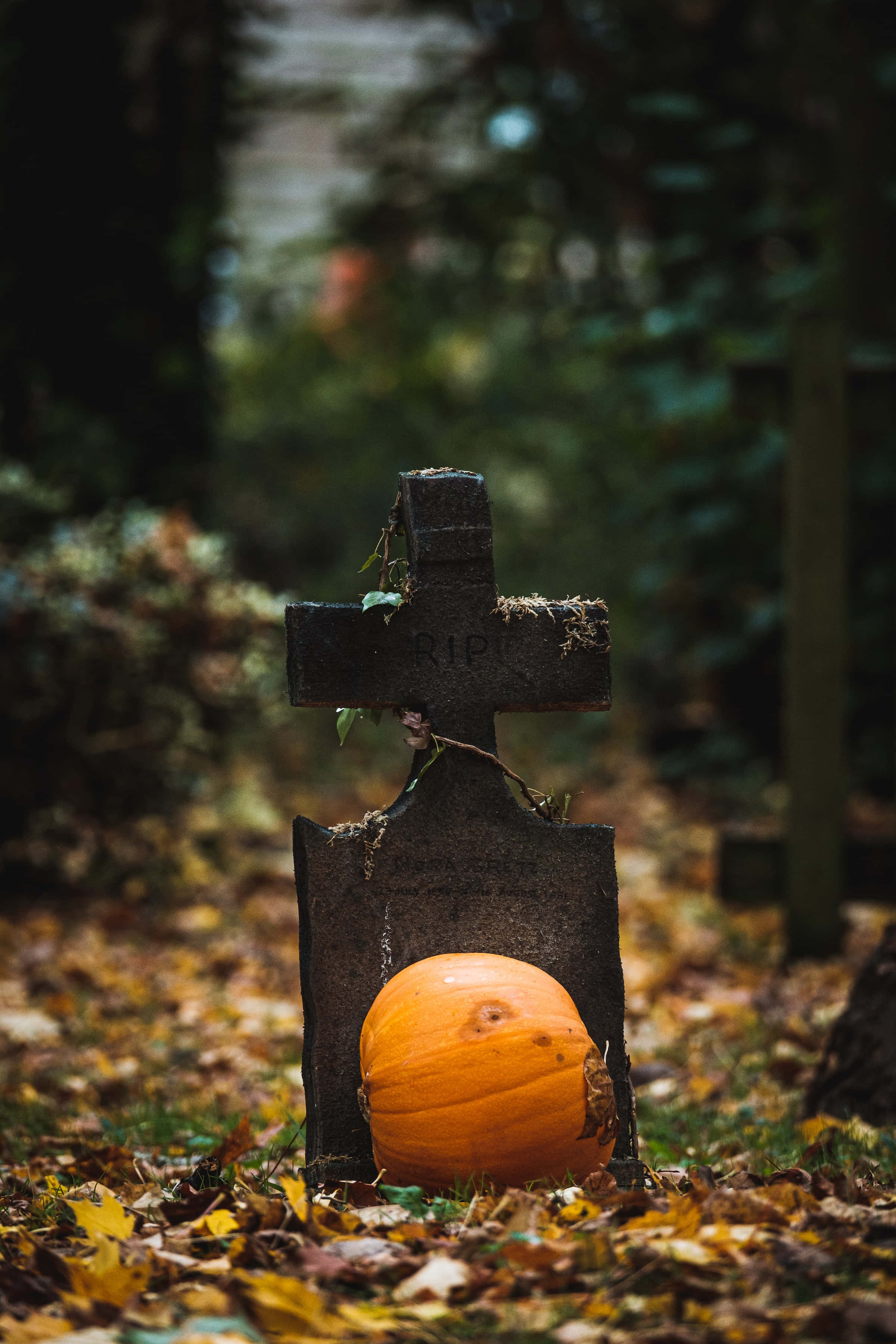 Nền Halloween Nghĩa Địa Độ Phân Giải Cao Hình nền