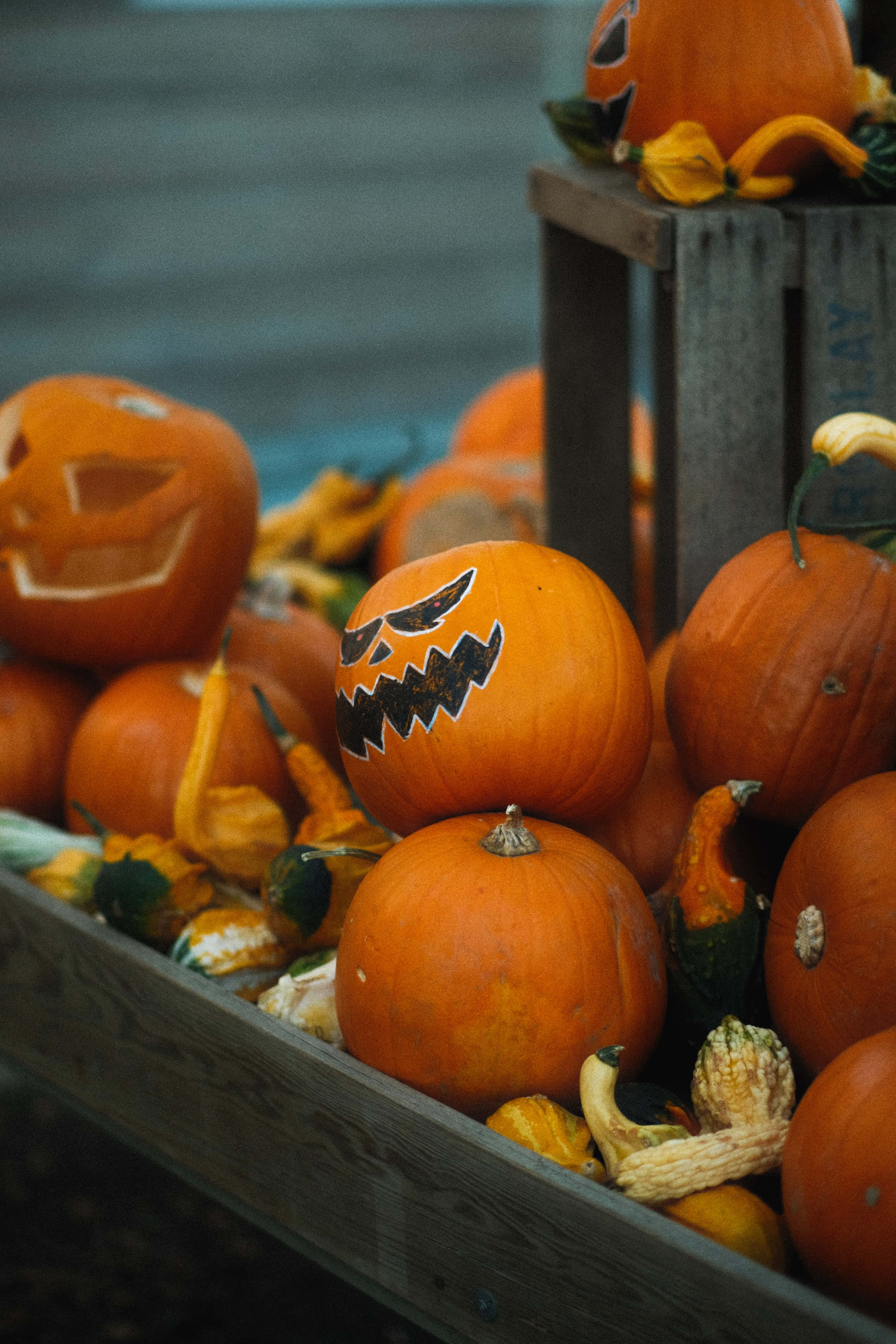 Nền Halloween Độ Phân Giải Cao với Những Quả Bí Ngô Jack-O-Lantern Nhỏ Xíu Hình nền