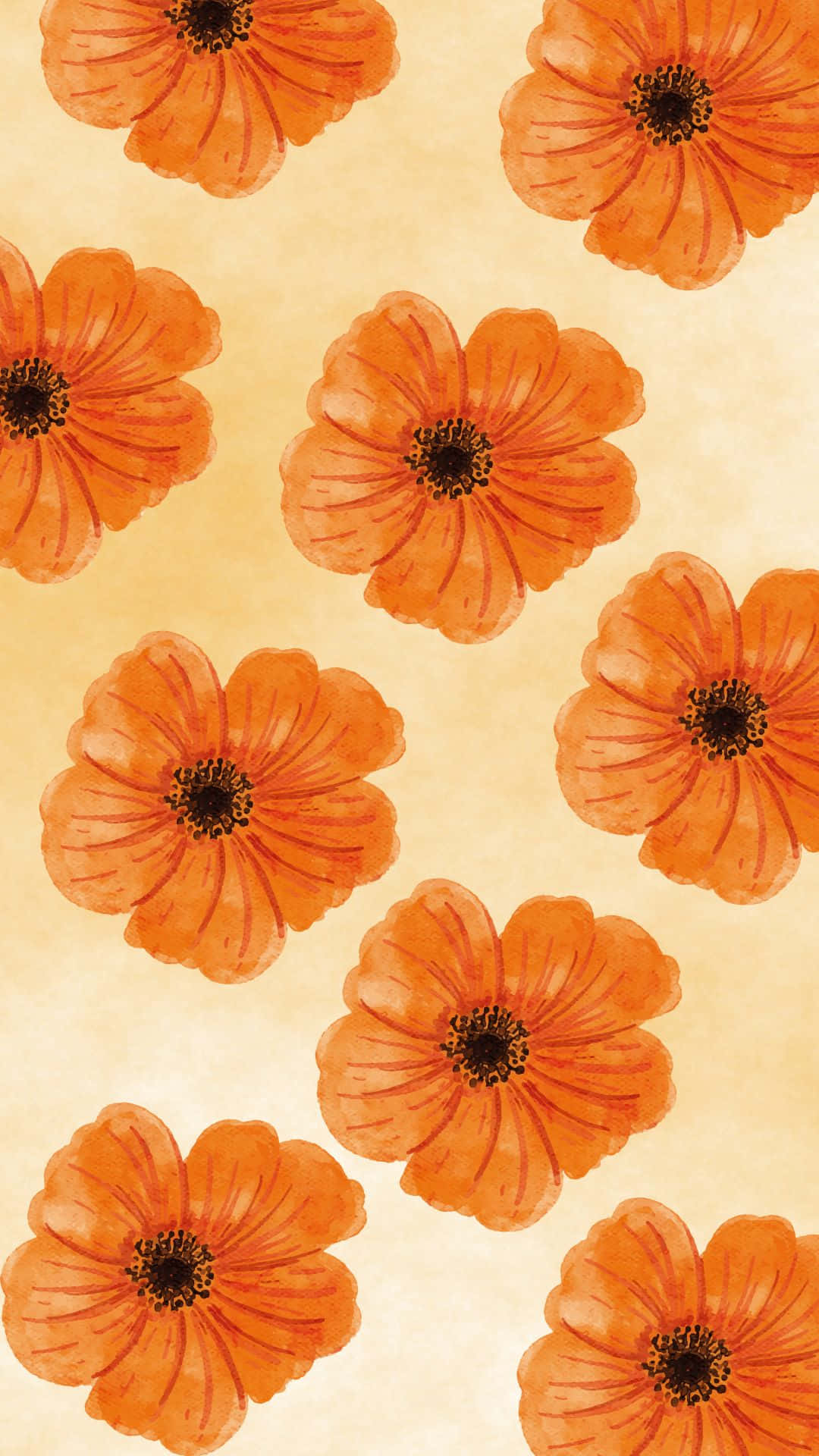 Nền Hoa Cam Aesthetic VSCO Pattern Hình nền