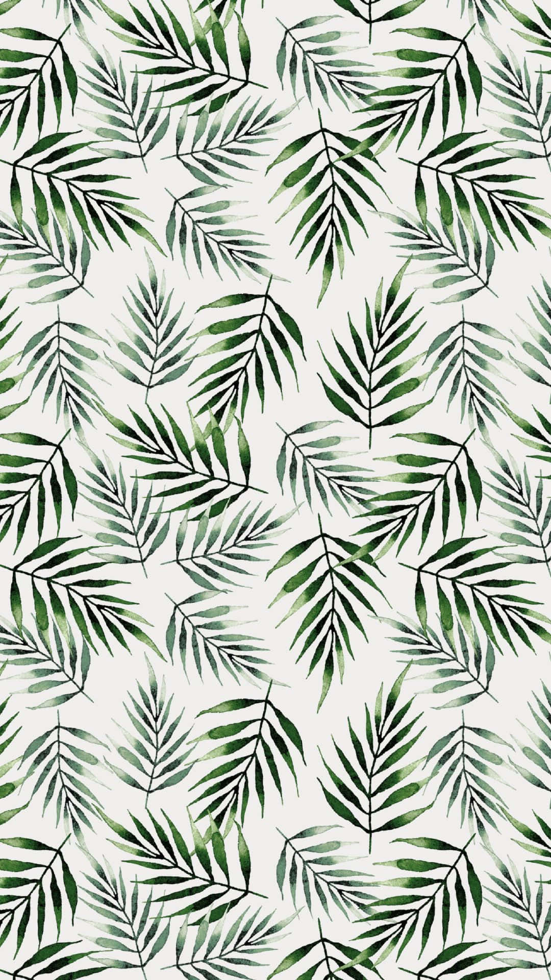 Nền Lá Xanh Thẩm Mỹ VSCO Hình nền