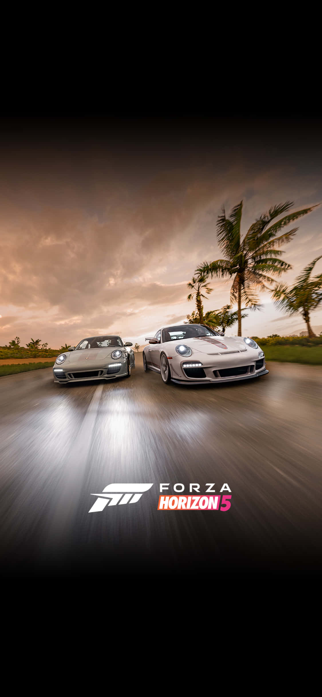 Nền Ravensburger Porsche iPhone X Forza Motorsport 7 Hình nền