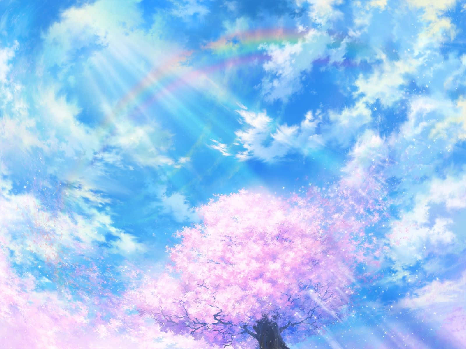 Nền Sáng Của Hoa Anh Đào Trong Khung Cảnh Anime Hình nền