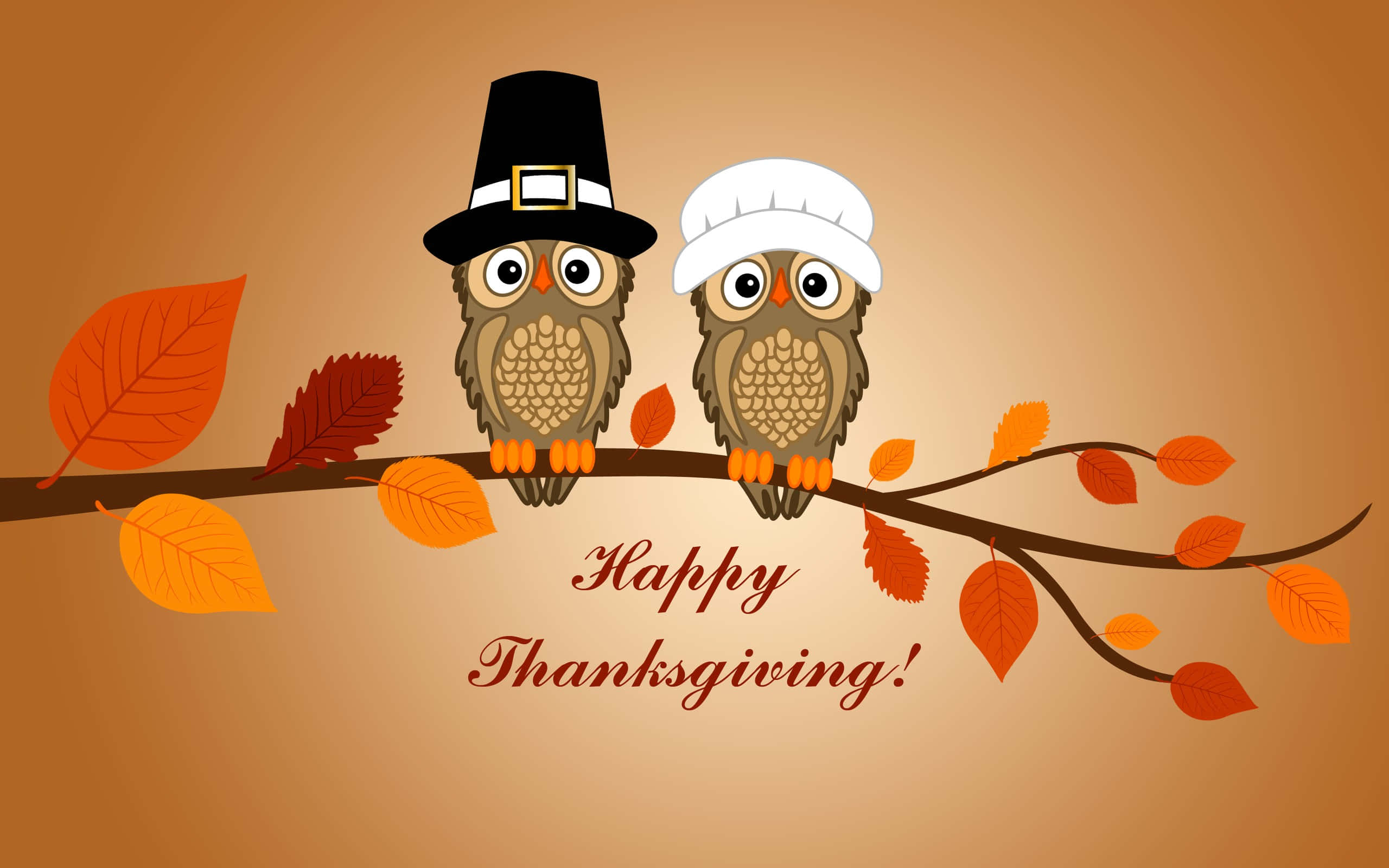Nền Thanksgiving dễ thương Hình nền