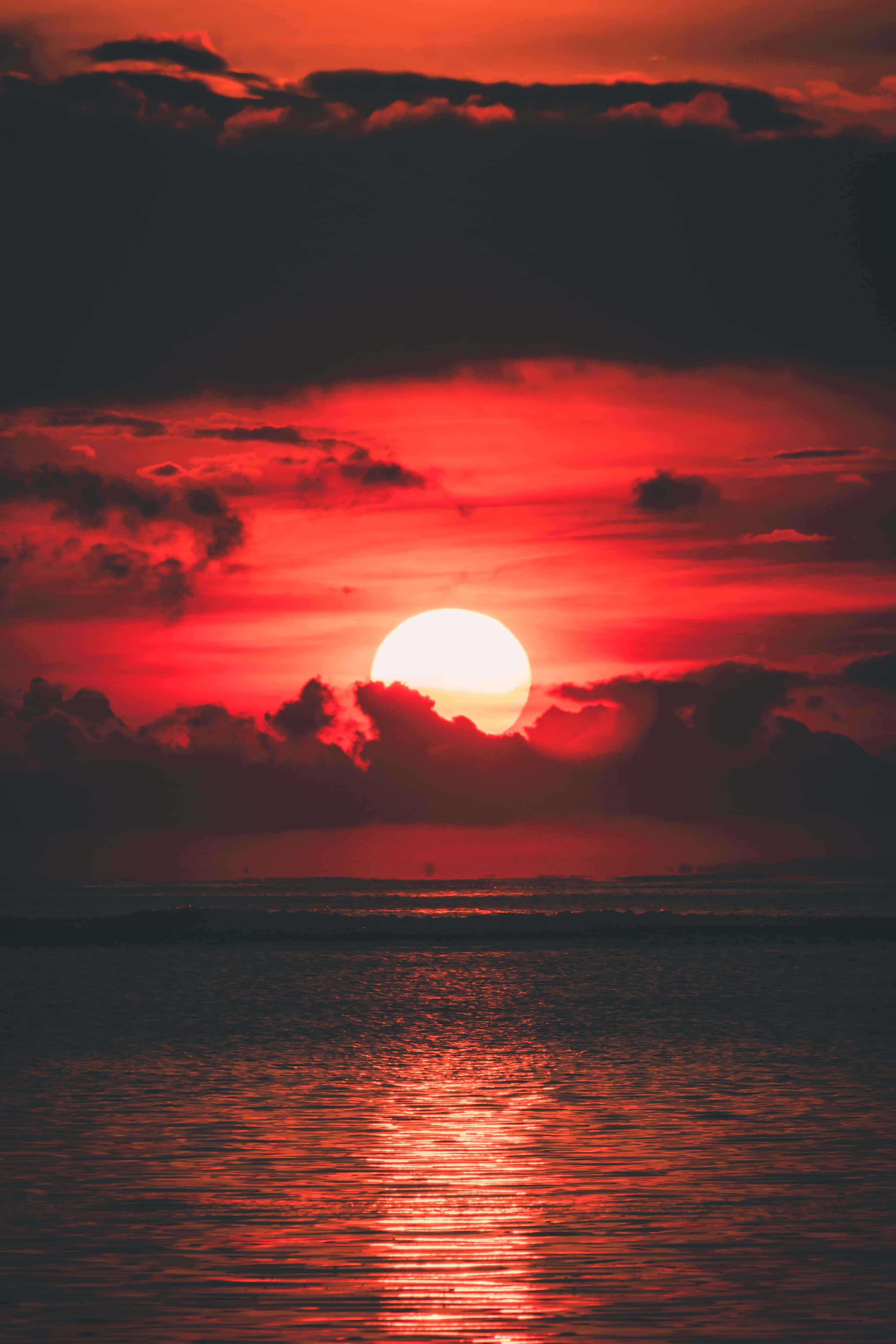 Nền Thiên Nhiên Hình nền