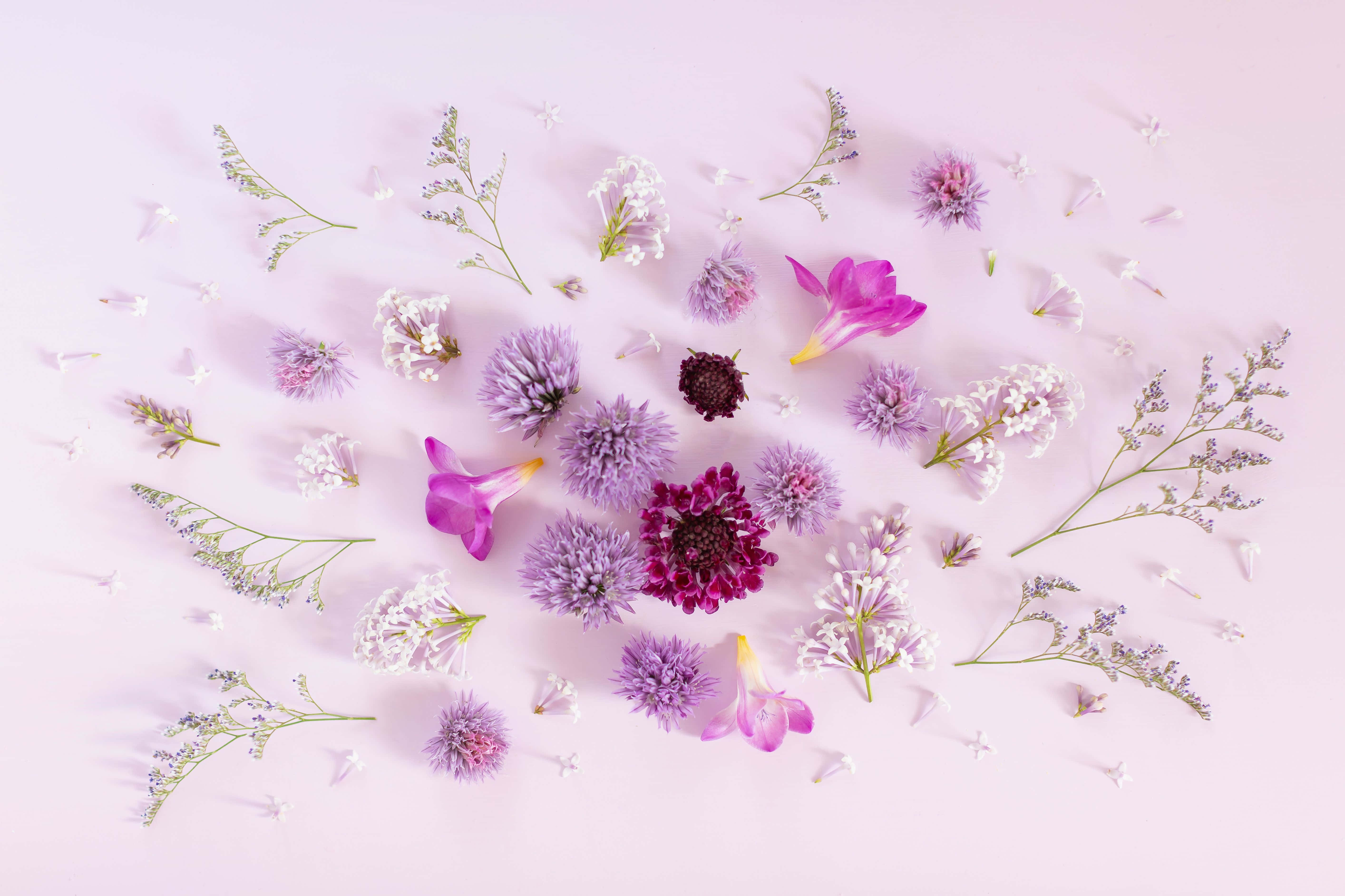 Nền Tím Pastel Hình nền