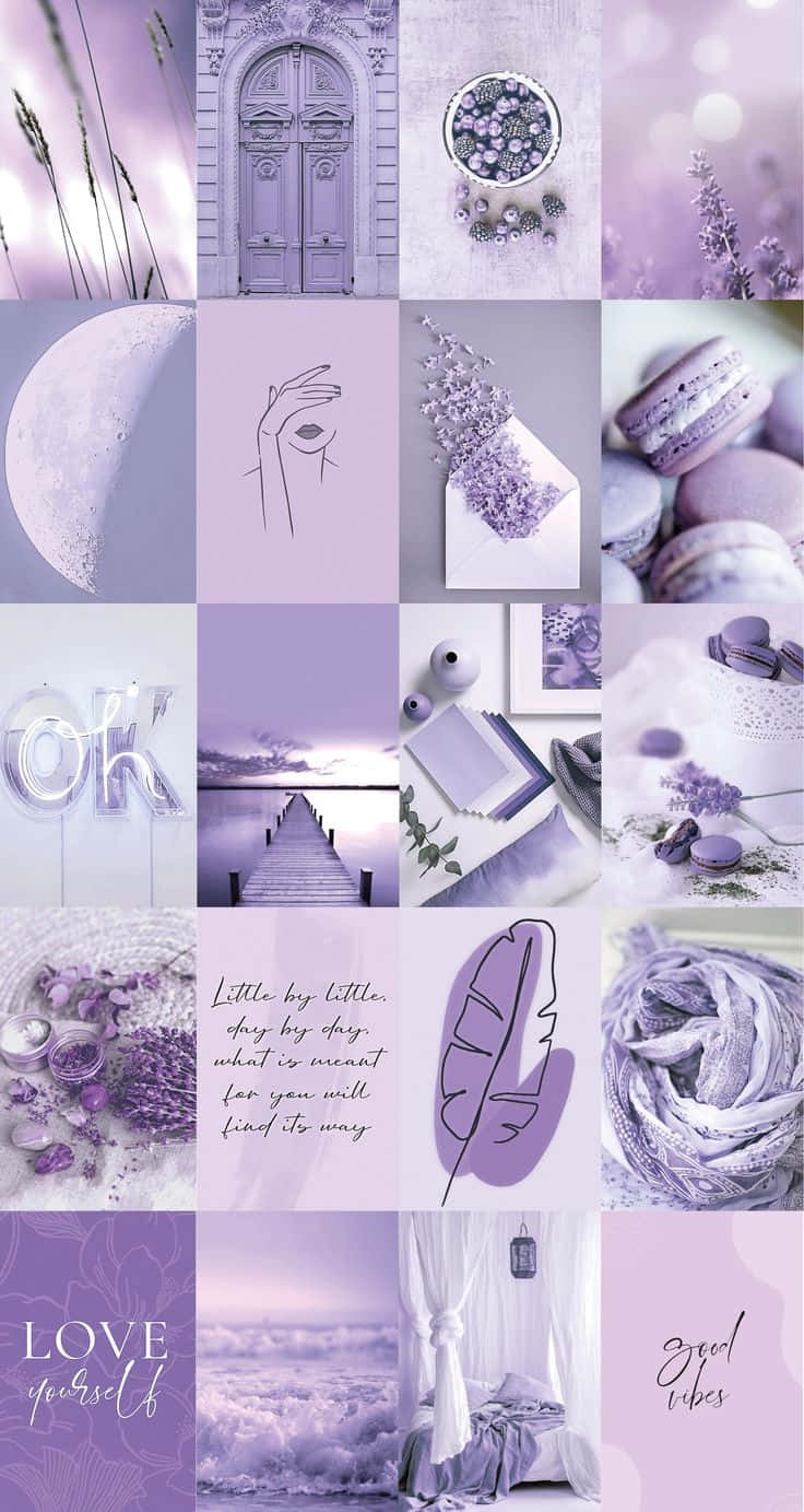 Nền Tường Màu Tím Oải Hương Pastel — Tím aesthetic GIF Hình nền