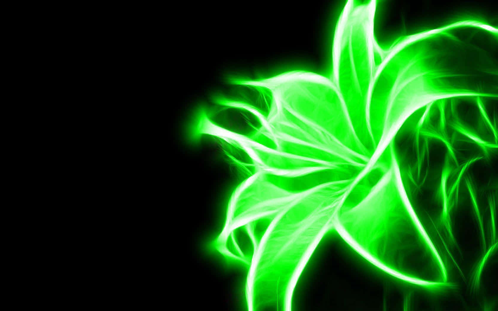 Nền Xanh Neon Hình nền