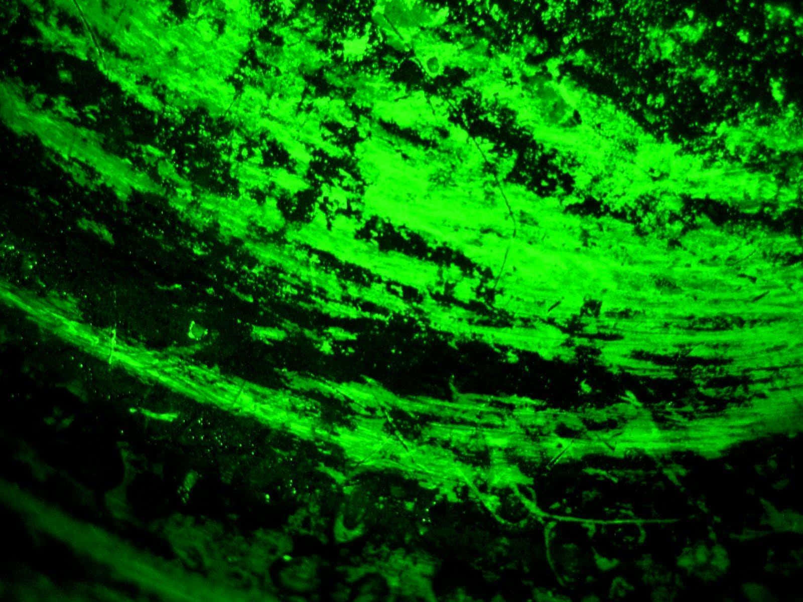 Nền Xanh Neon Hình nền