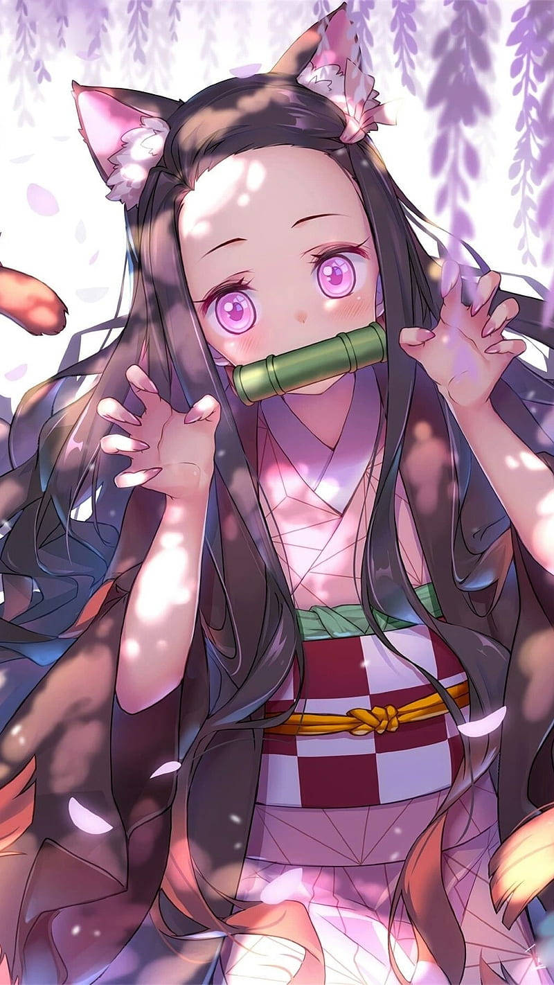 Nezuko Thanh Gươm Diệt Quỷ Tai Mèo Hình nền