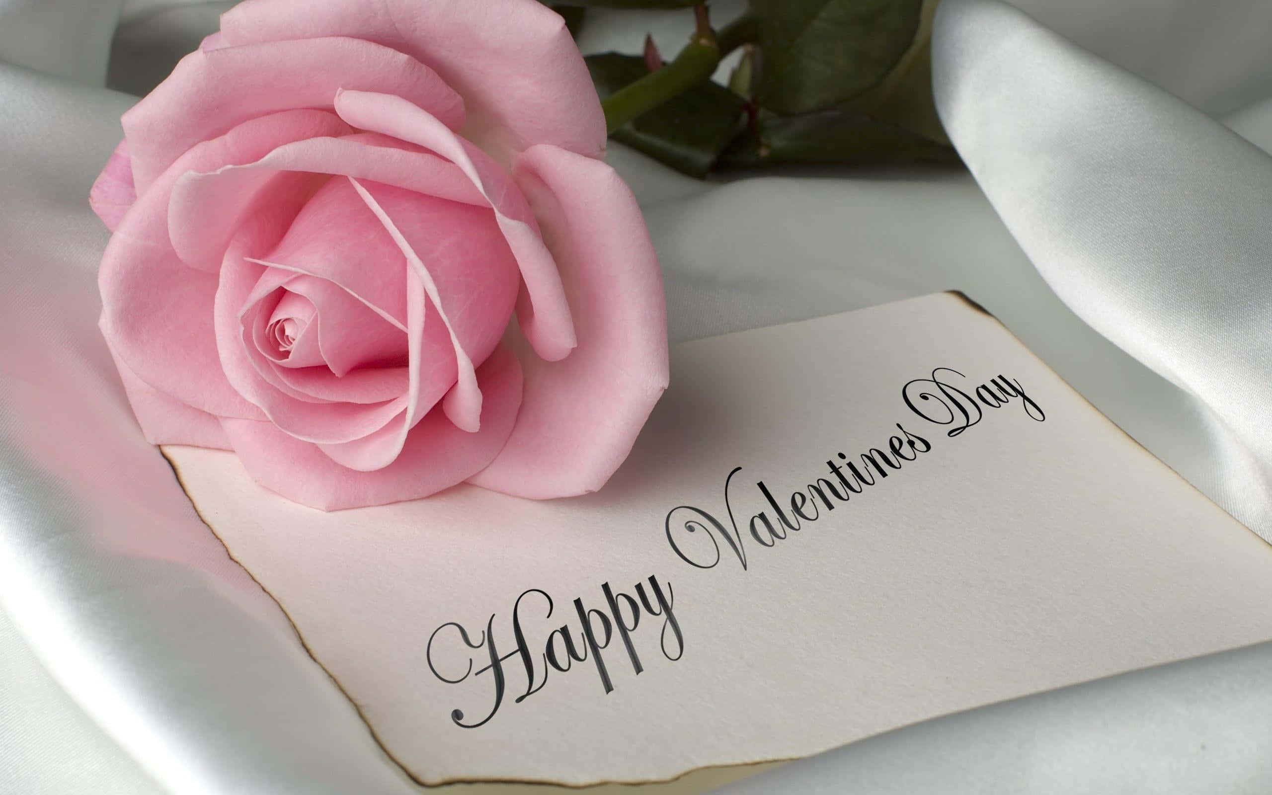 Ngày Lễ Tình Nhân Dễ Thương Này, Hãy Thể Hiện Tình Yêu Của Bạn Với Người Yêu Hình nền