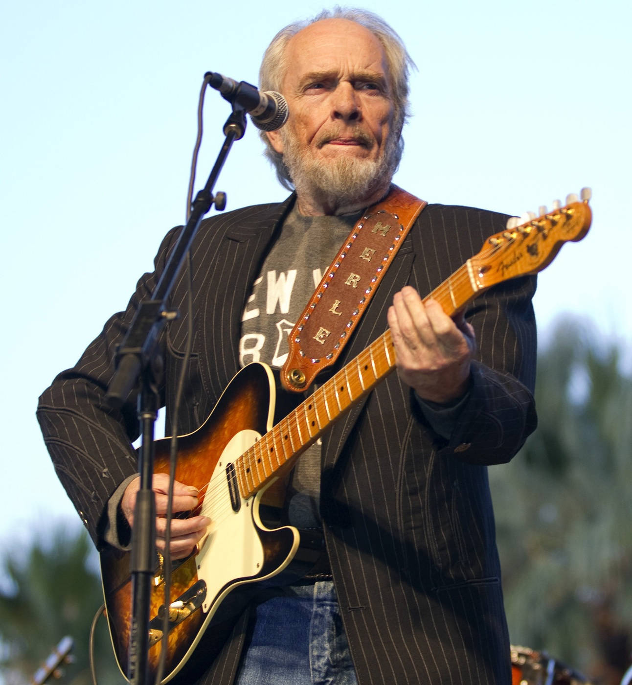Nghệ sĩ hàng đầu Merle Haggard Hình nền