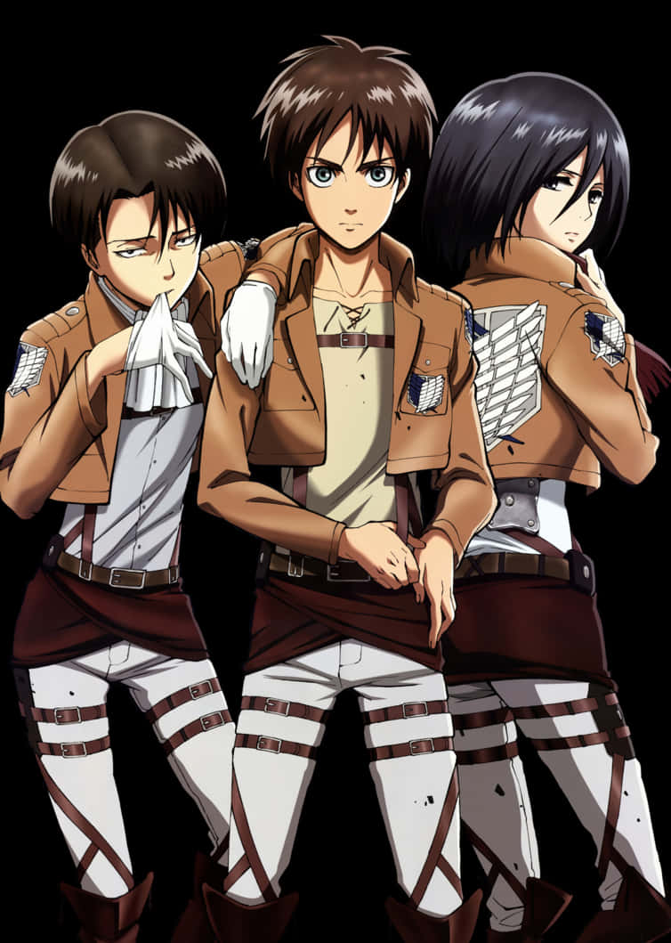 Nhân Vật Chính Attack on Titan Hình nền