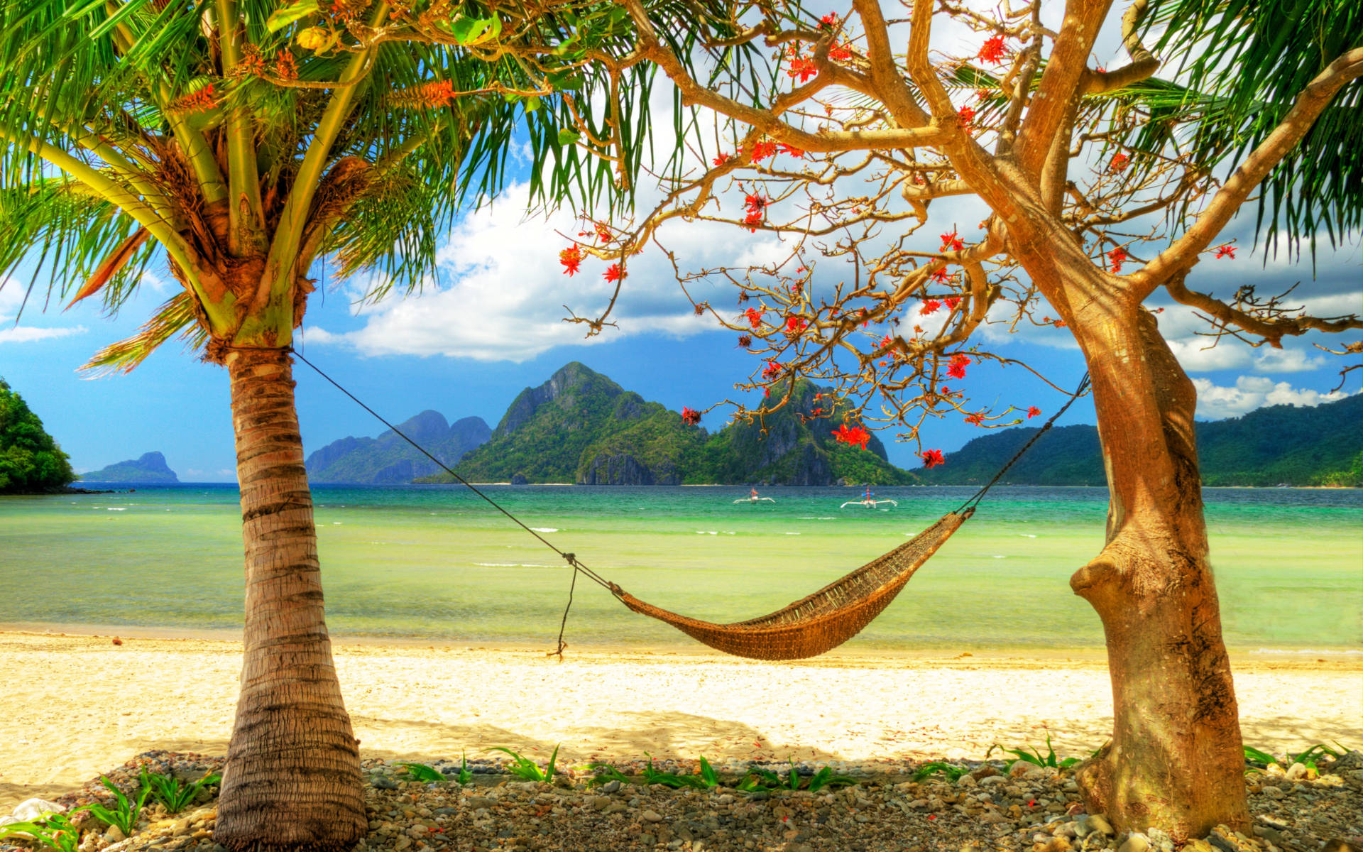 Mùa Hè Tuyệt Nhất