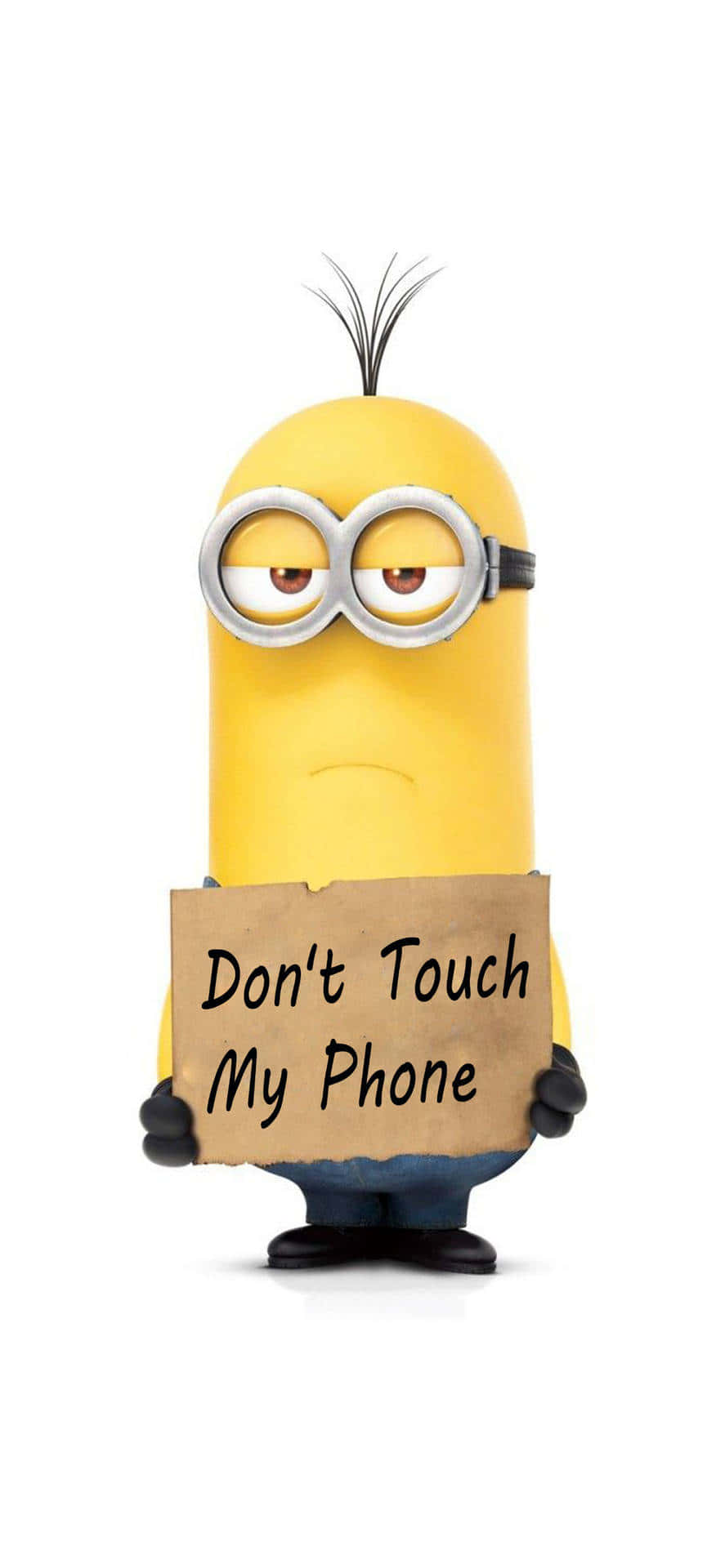Những Chú Minion Nhiệt Tình Trong Hành Động Hình nền