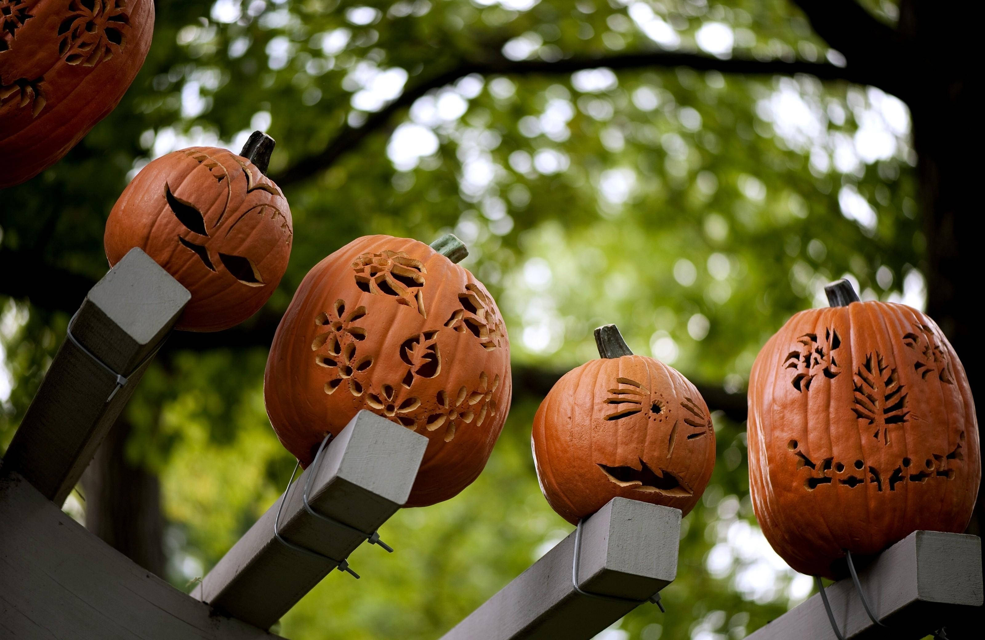 Những quả bí ngô ma quái này chắc chắn sẽ mang đến nỗi sợ hãi kinh hoàng cho Halloween này! Hình nền