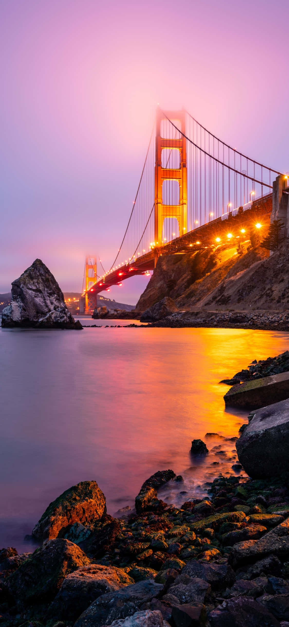 Niềm vui bên bờ biển ở California Hình nền