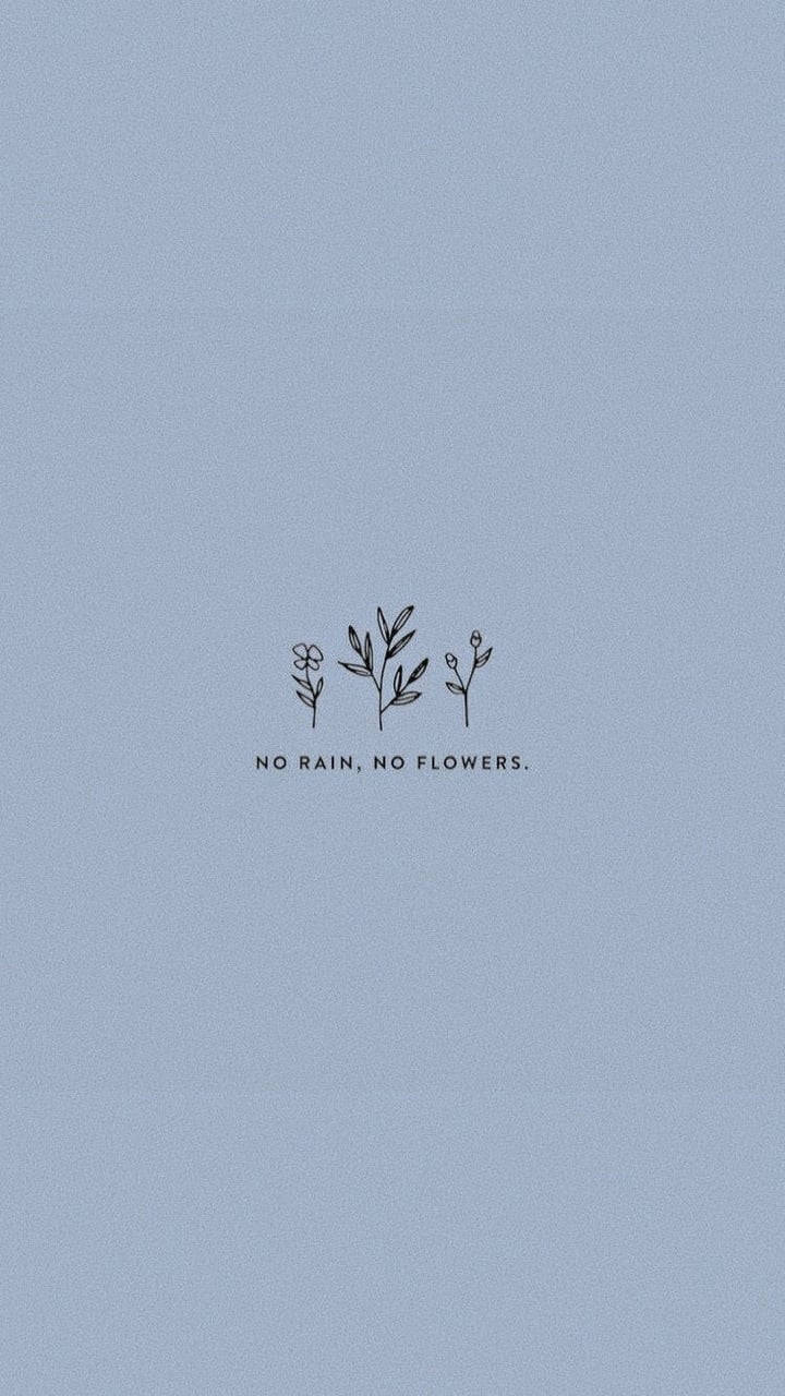 No Rain No Flowers Dễ Thương Thẩm Mỹ Hình nền