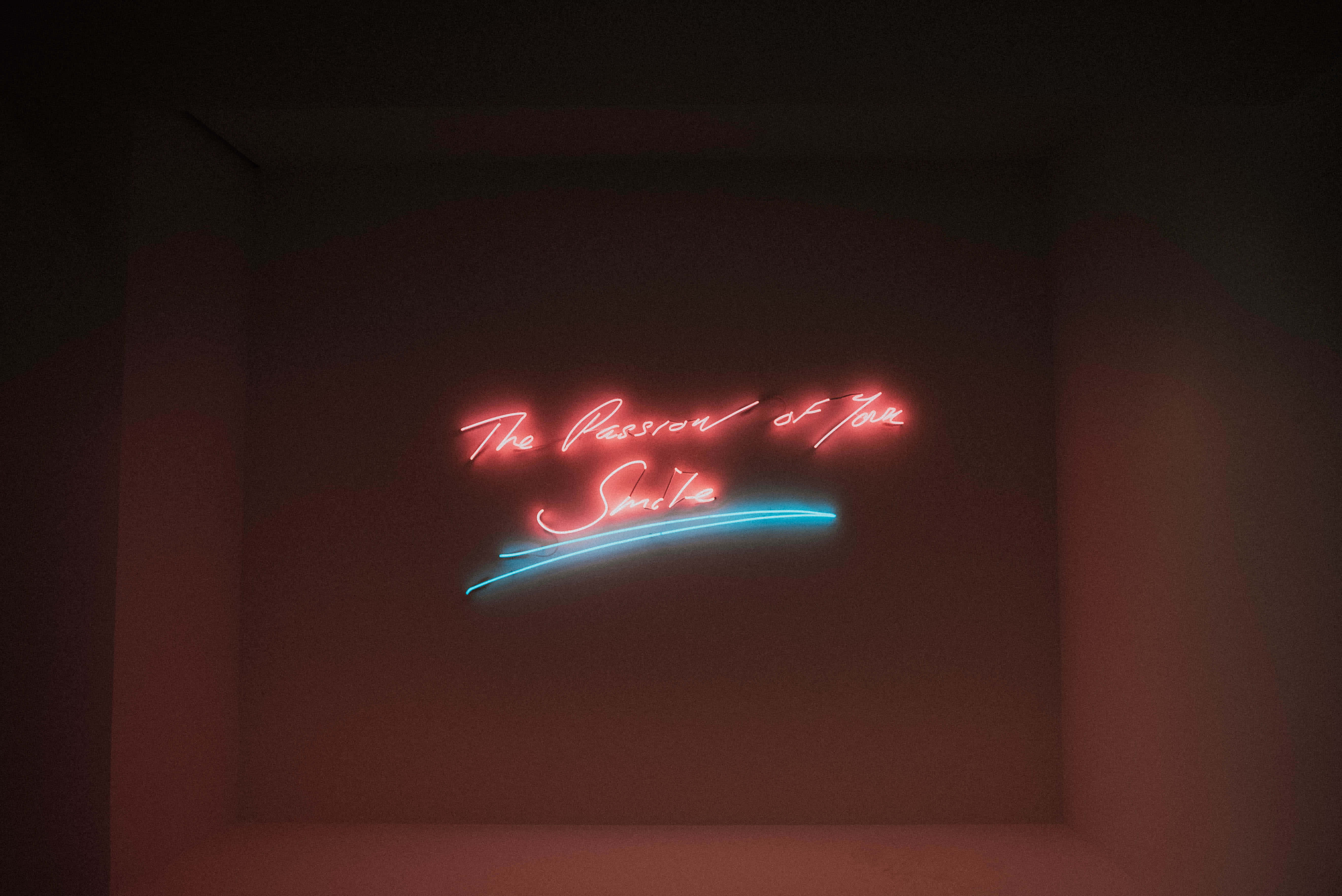 nữ hoàng của biển cả, neon, c s s s s s s s s s s Hình nền