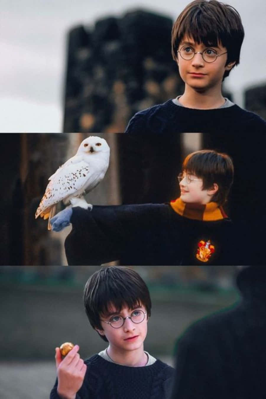 Ôm lấy phép thuật bên trong bạn! #AestheticHarryPotter Hình nền