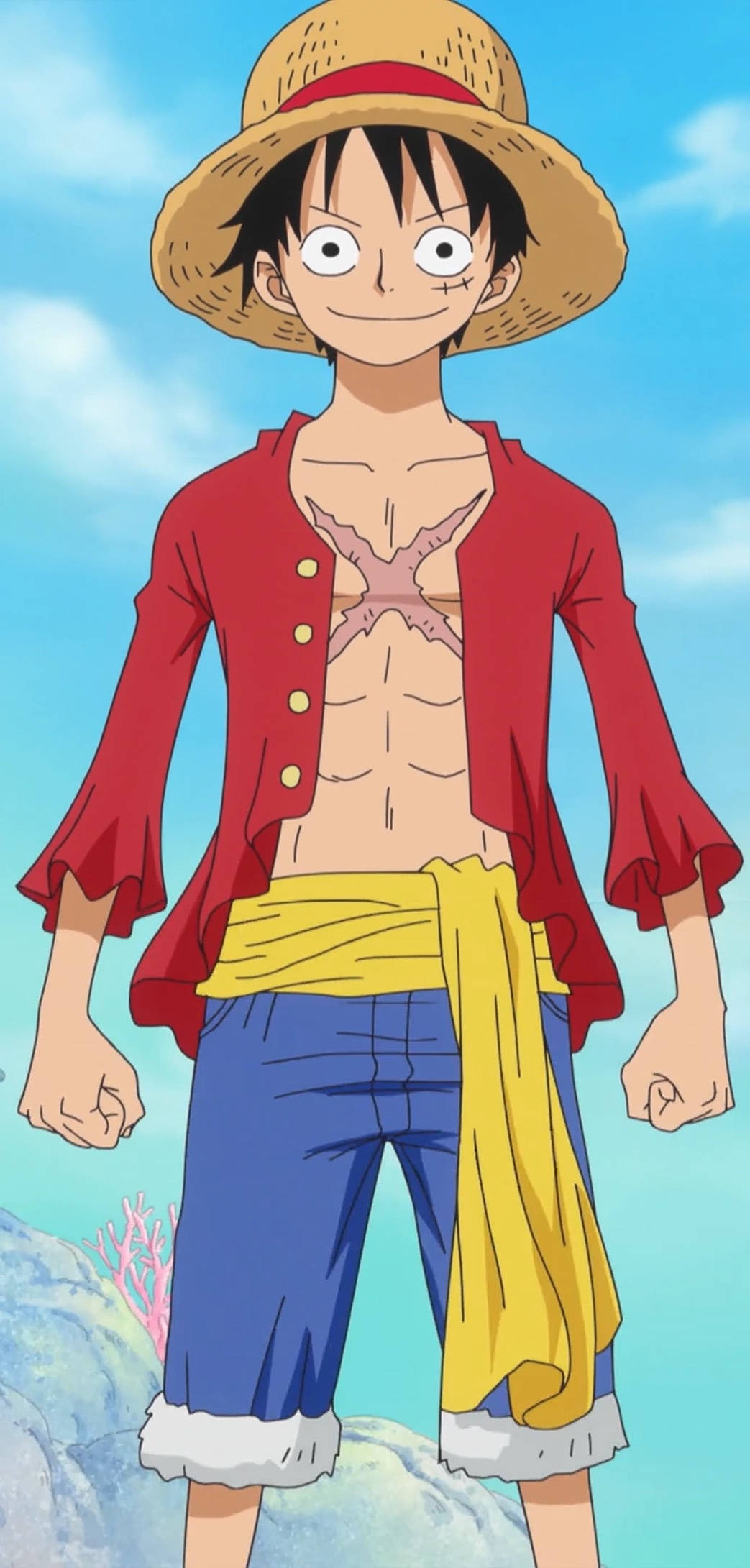 One Piece iPhone Luffy Chân Dung Toàn Thân Hình nền