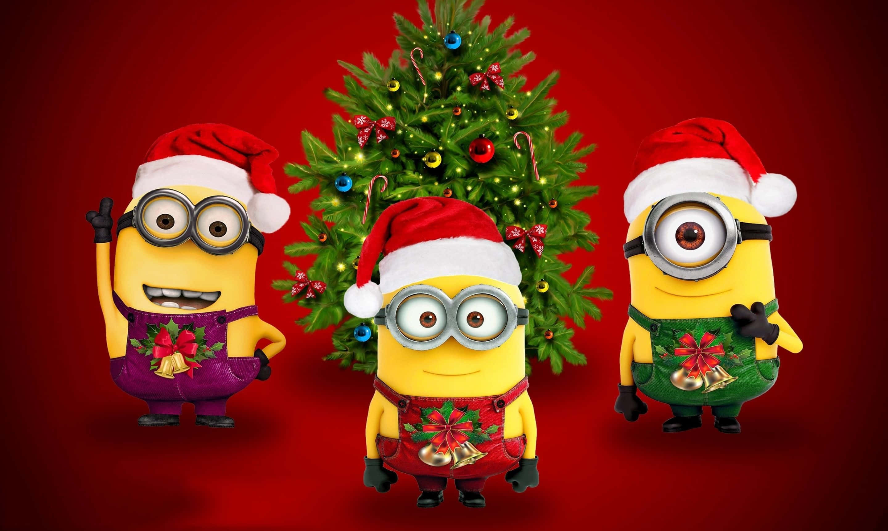 Ông già Noel hài hước chụp ảnh tự sướng cùng chú tuần lộc vui nhộn trong xứ sở mùa đông Hình nền