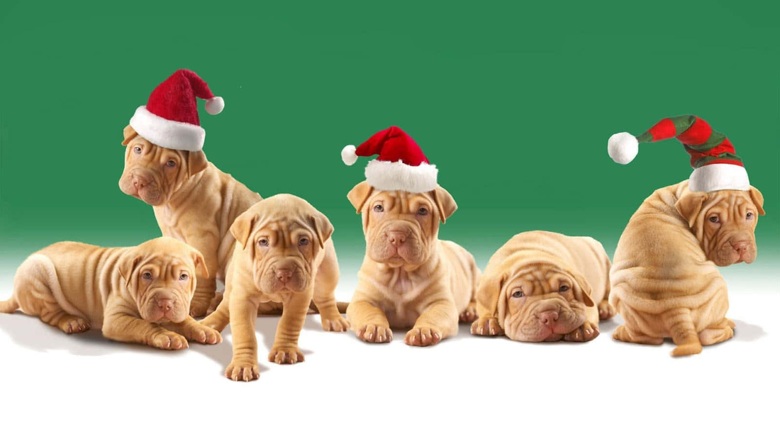 Ông già Noel hài hước bị kẹt trong ống khói Hình nền