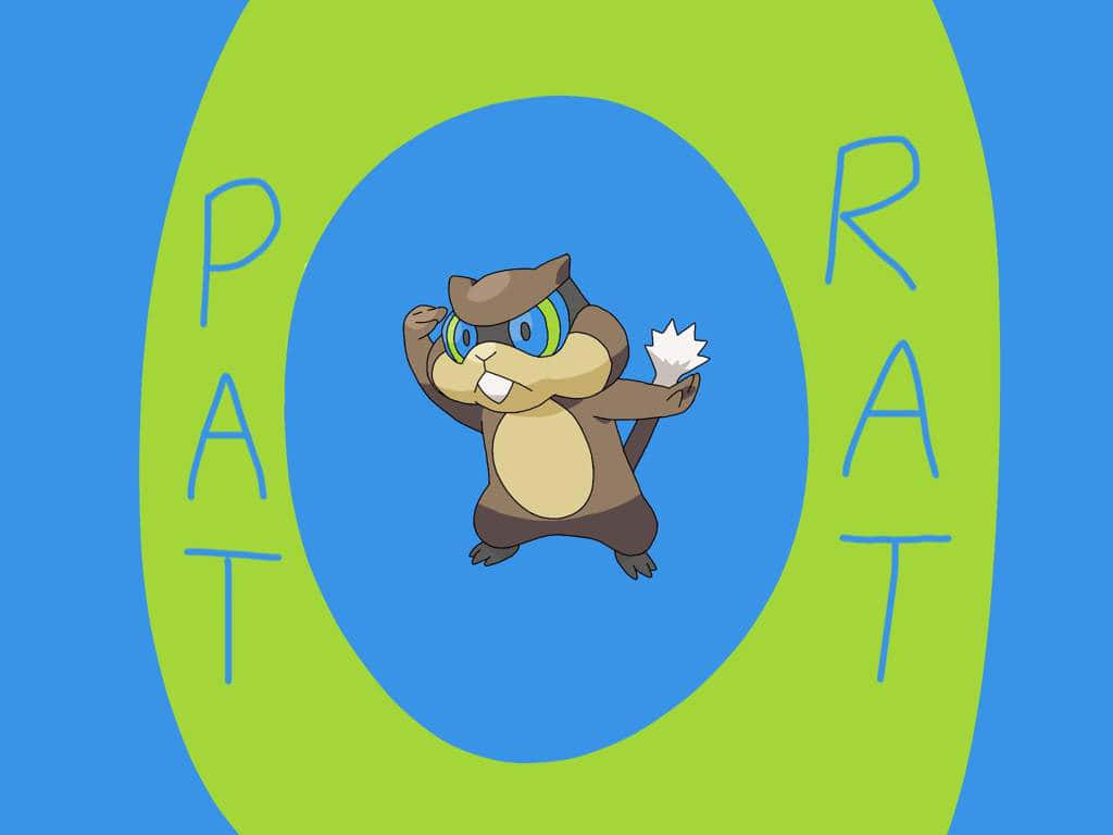 Patrat, Võ Sĩ Đáng Yêu Nhất Hình nền