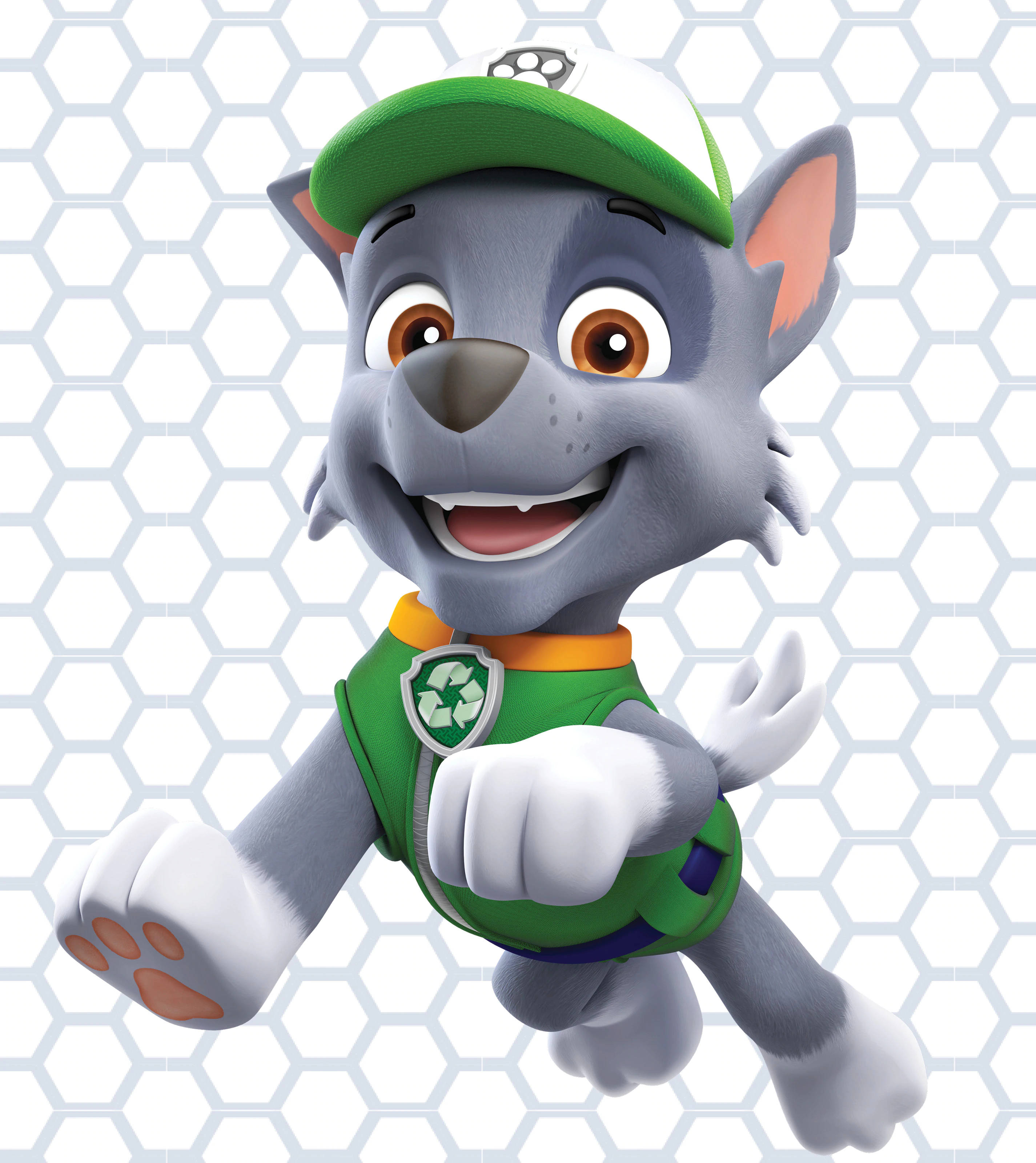 Paw Patrol Rocky Hình nền