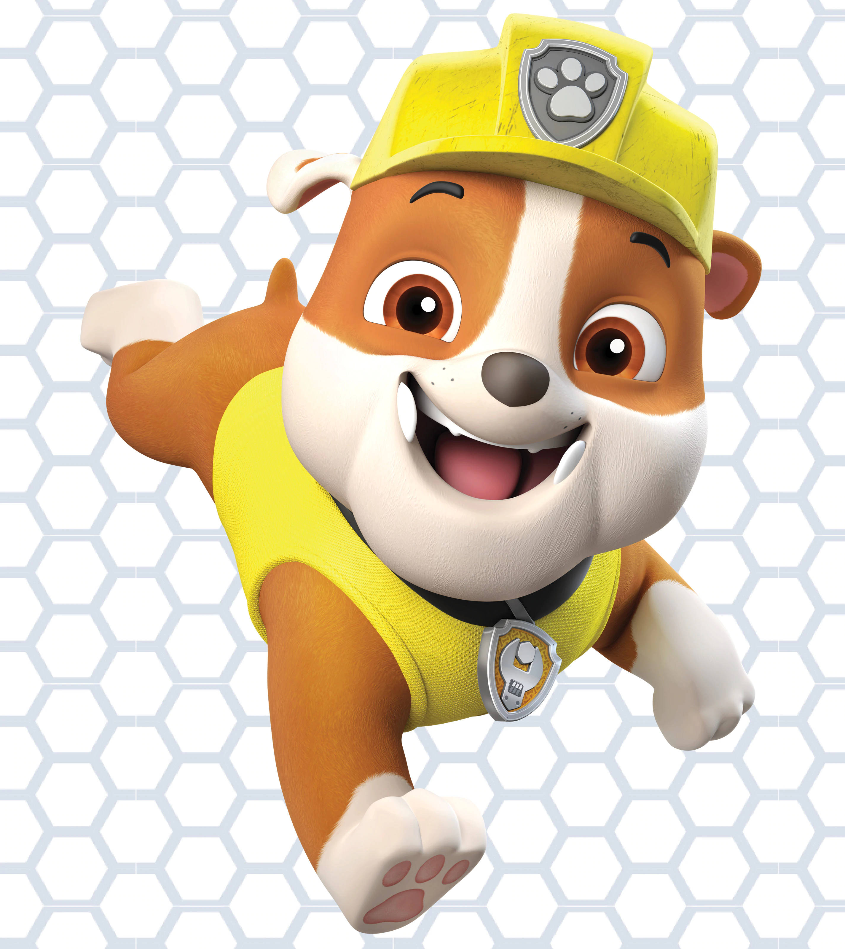 Paw Patrol Rubble Hình nền