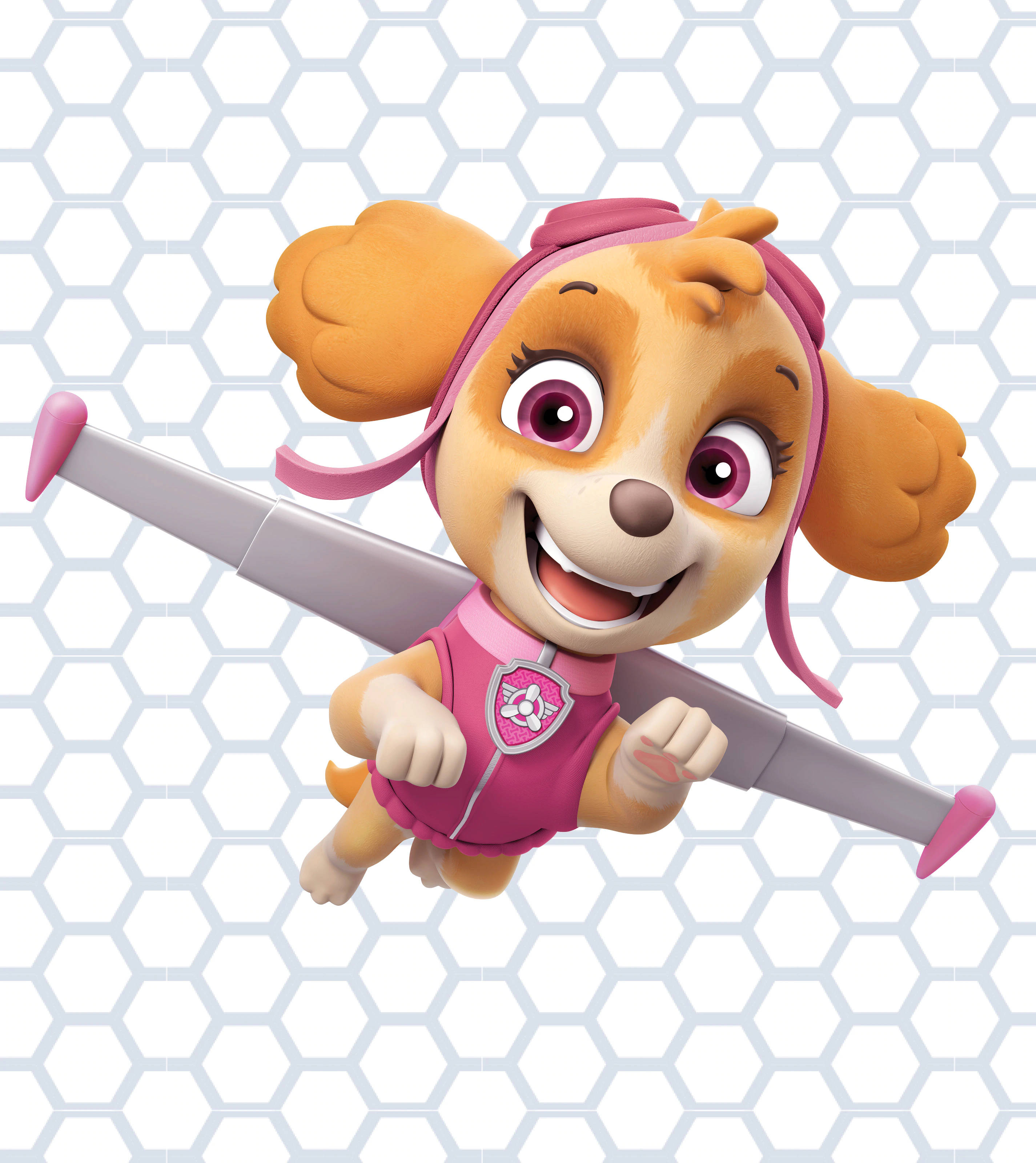 Paw Patrol Skye Hình nền