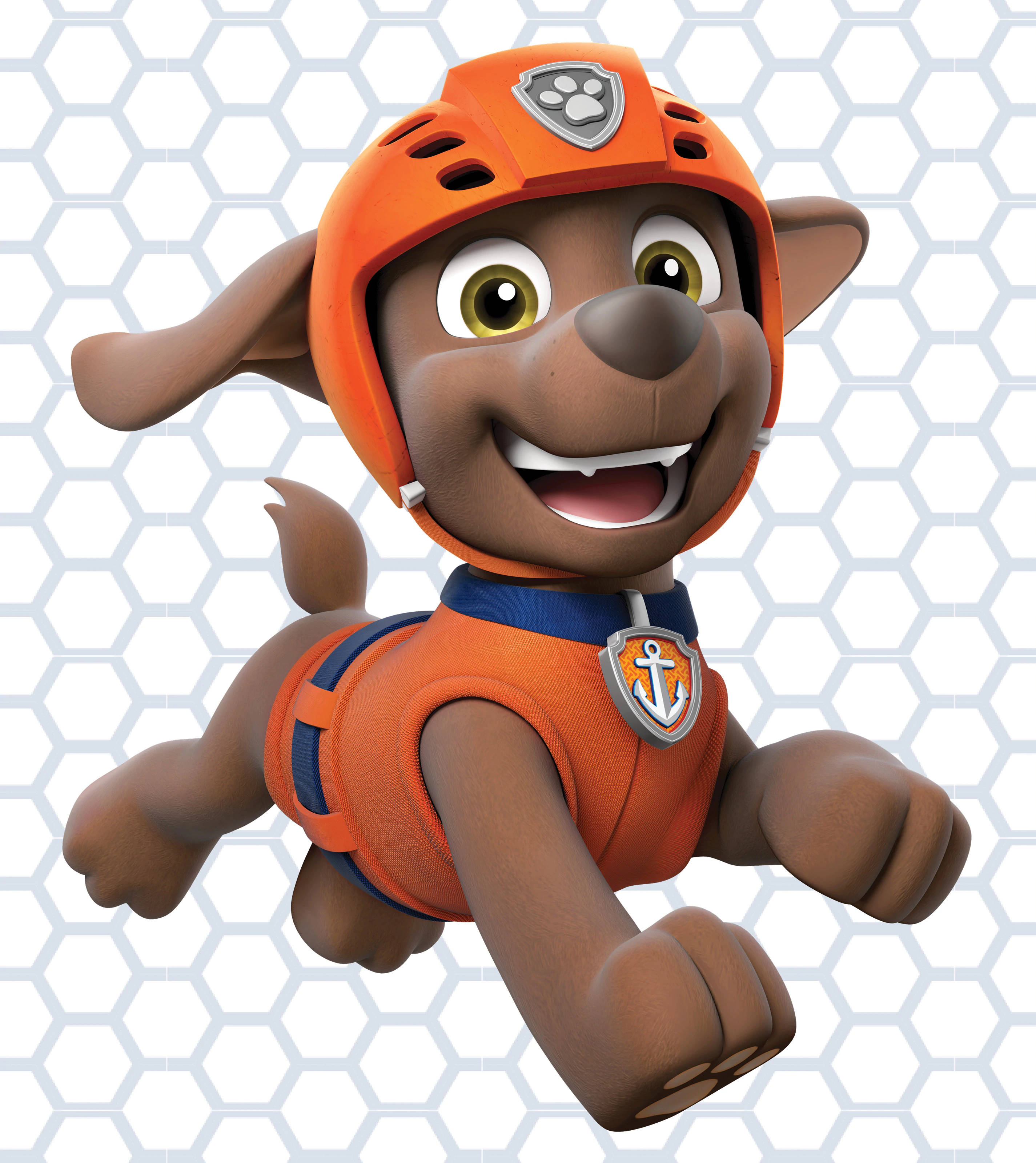 Paw Patrol Zuma Cứu Hộ Dưới Nước Hình nền