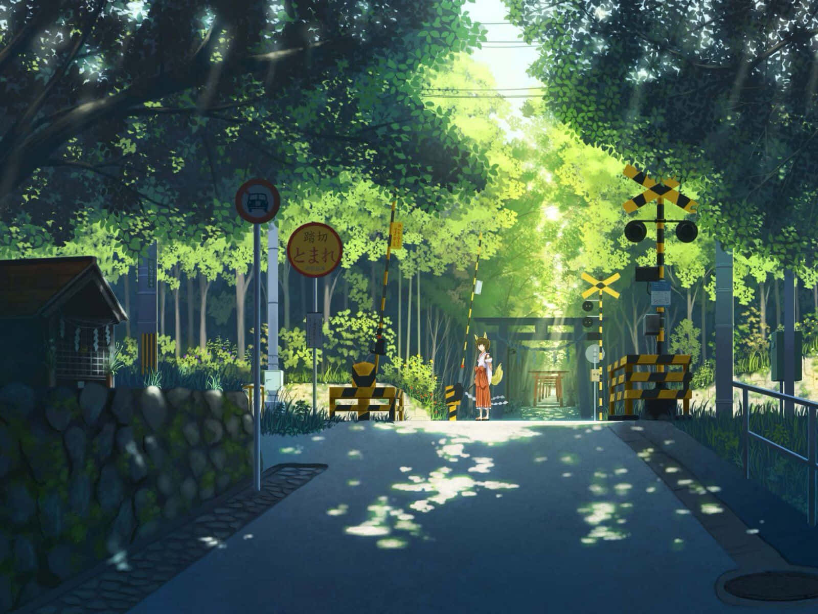 Phố Anime Xanh Nhật Bản Hình nền